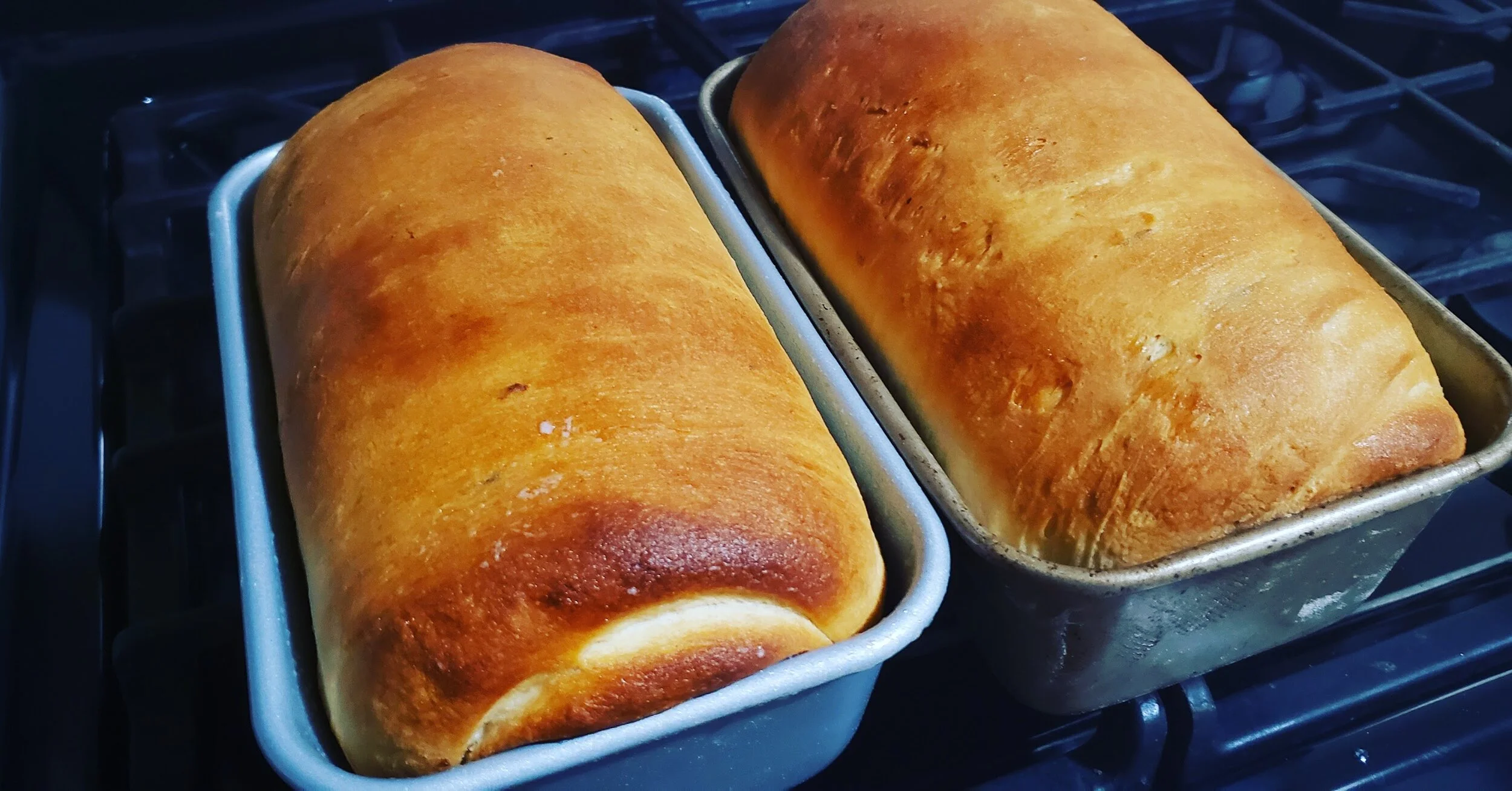 Some supremely delicious, fresh baked bread loaves