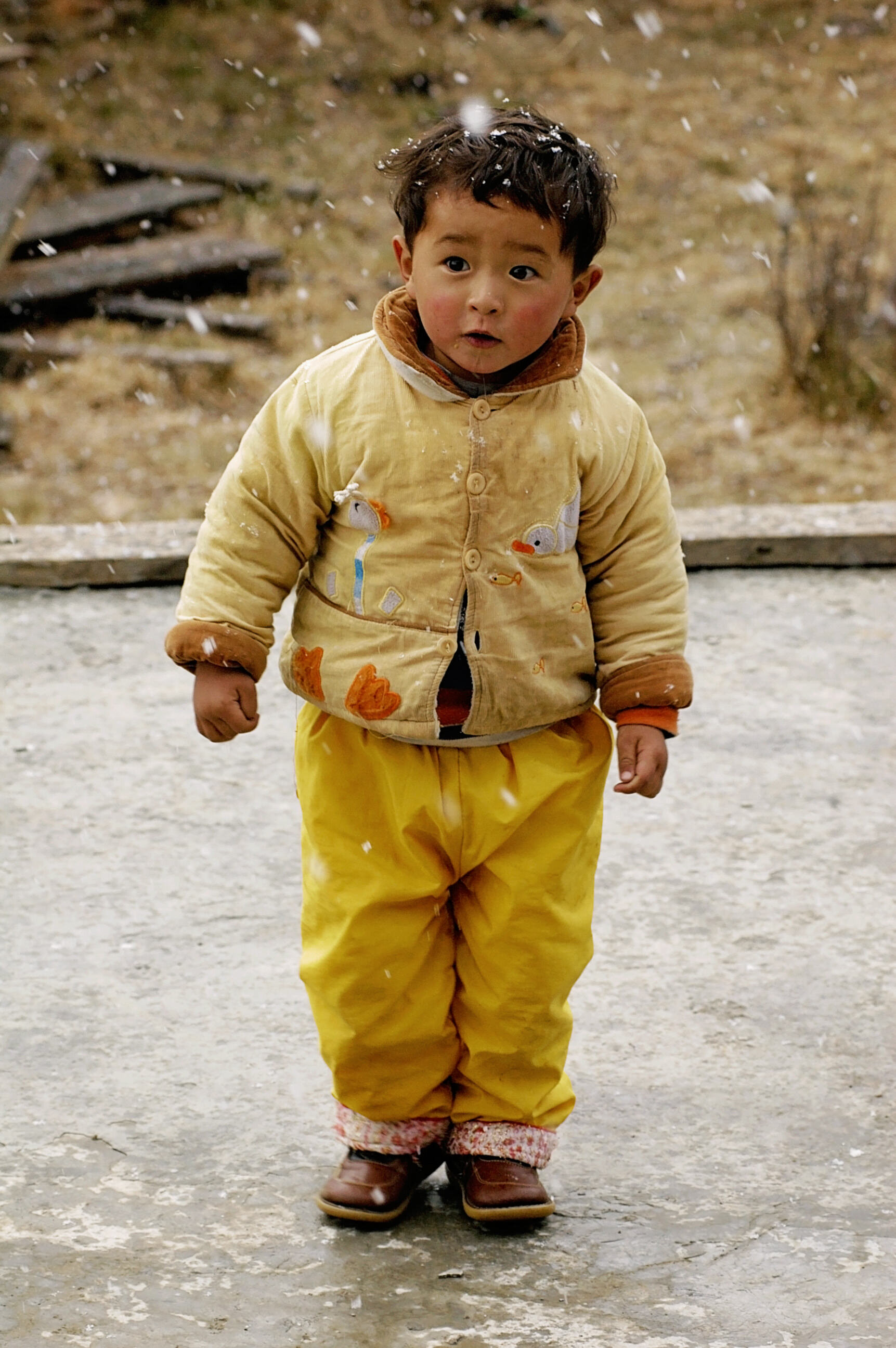 Bhutan 1G 231.jpg