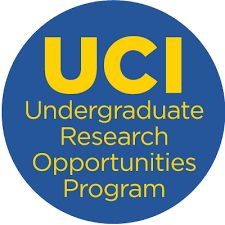 Undergraduate Research Opportunities Program (UROP)