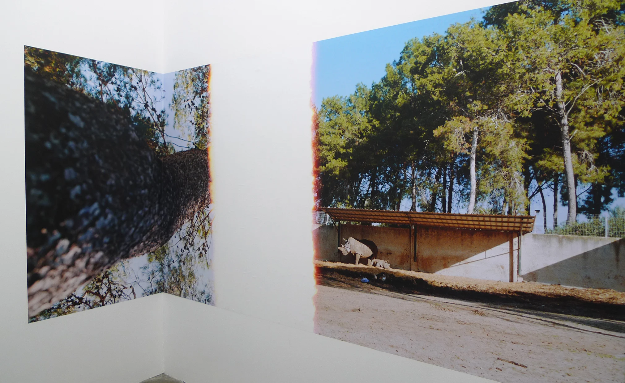 Installation view, Indie Gallery