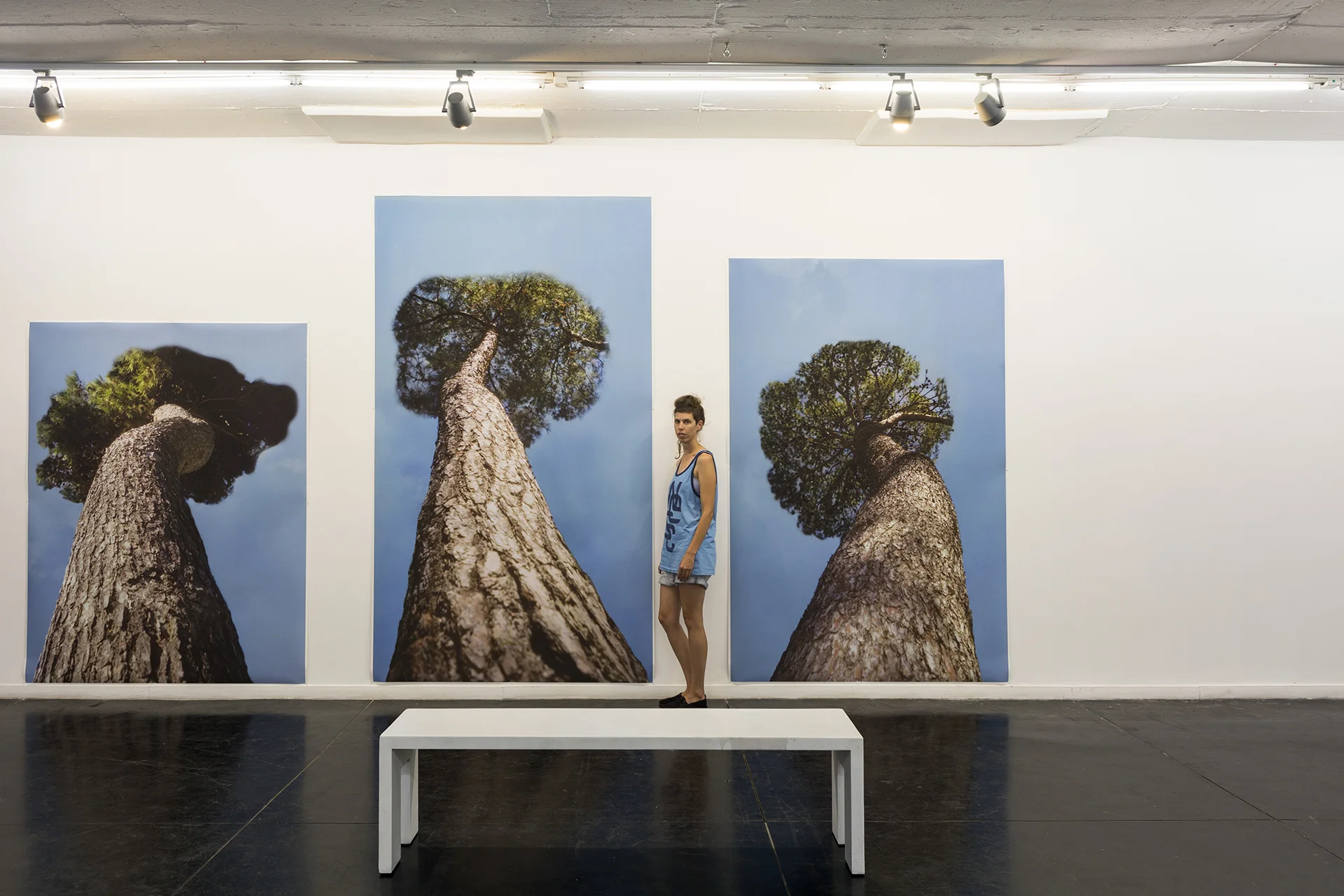 Grove , installation view, 2017, inkjet print, 200x150 cm, 280x150 cm, 240x150 cm