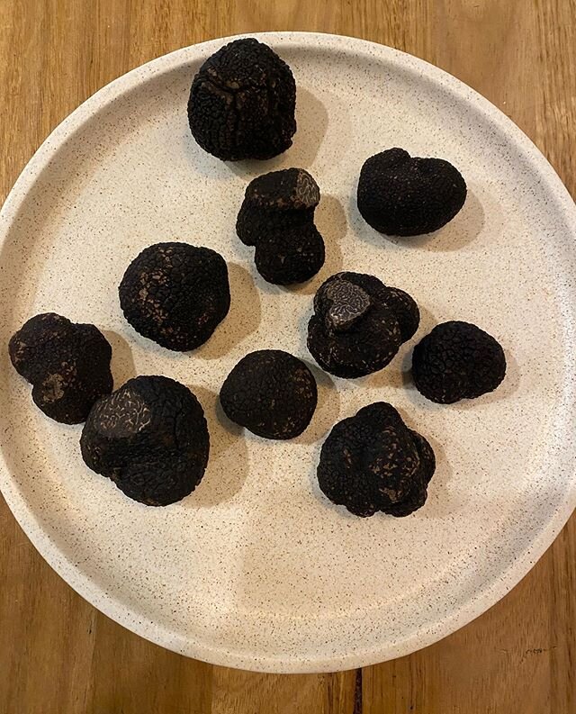 @manjimuptruffles 200g of black gold! Thanks to @premier_robert we got some awesome #chefathome dinners coming up!!! #truffle #truffles #truffleshuffle