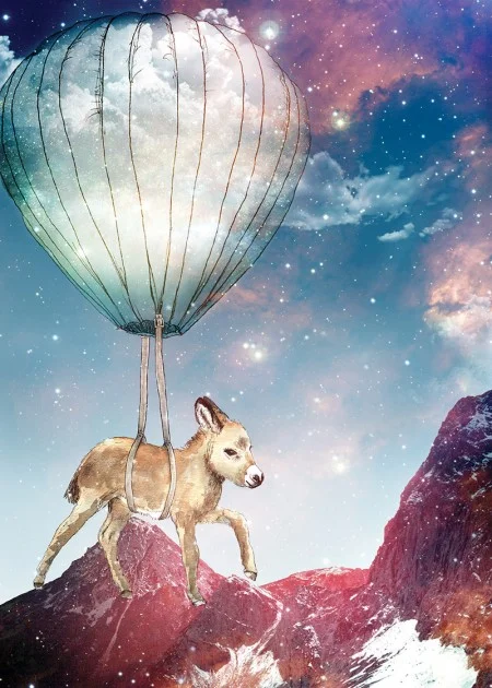 Donkey-on-a-journey-450x630.jpg