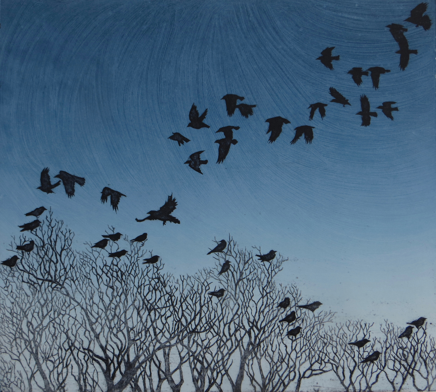 Photo by Holly Booth Photography