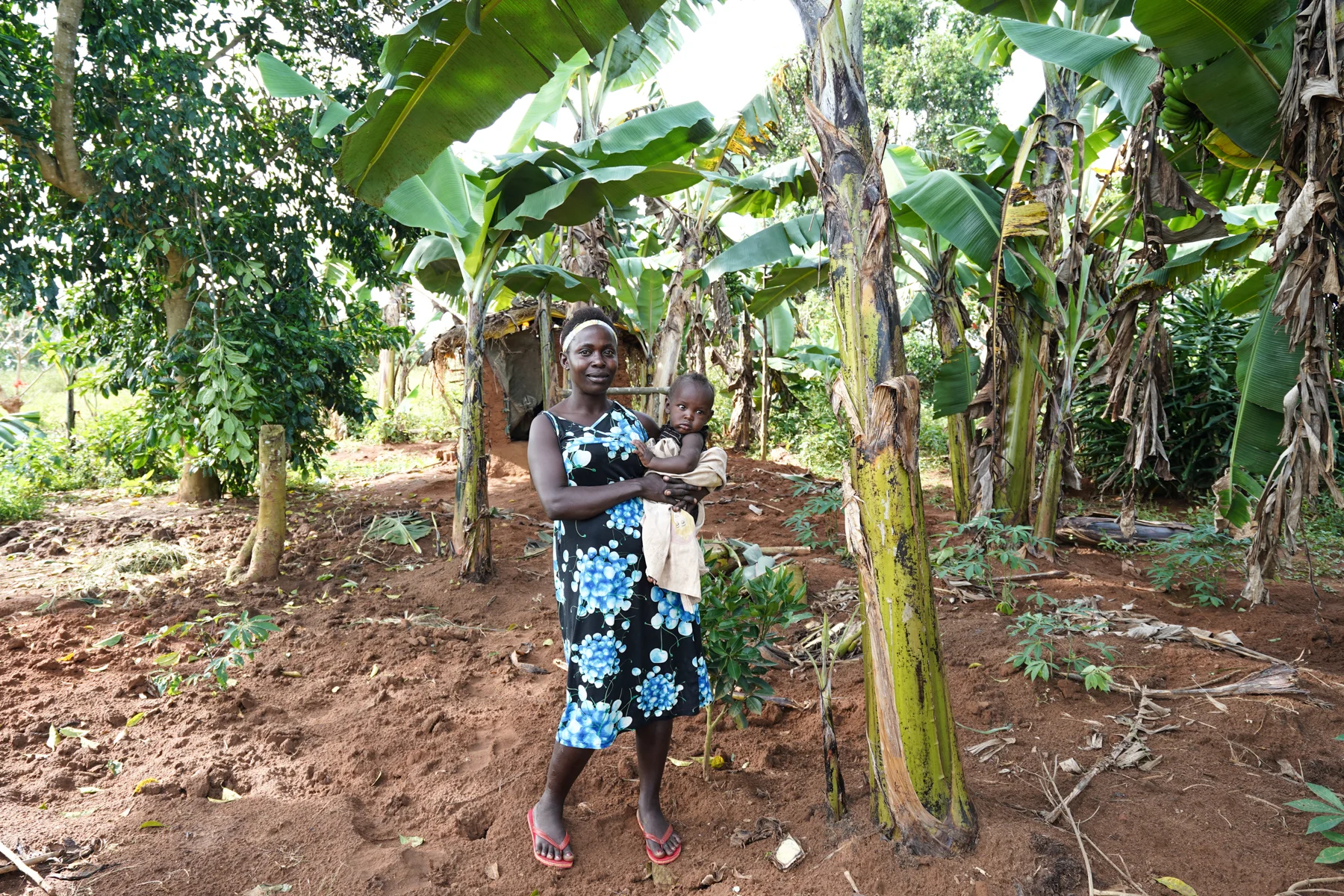 A model household on Zinga Island