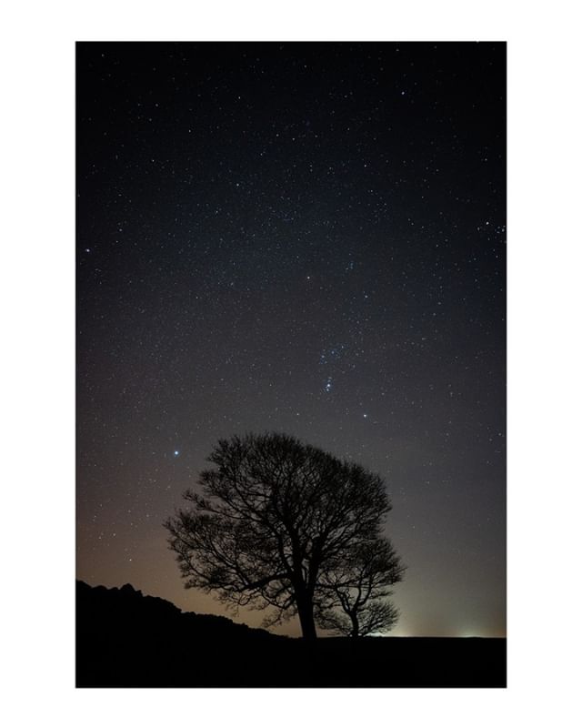 Orion &amp; Tree, Derbyshire, England #astrophotography #nightsky #derbyshire #orion #stargazing