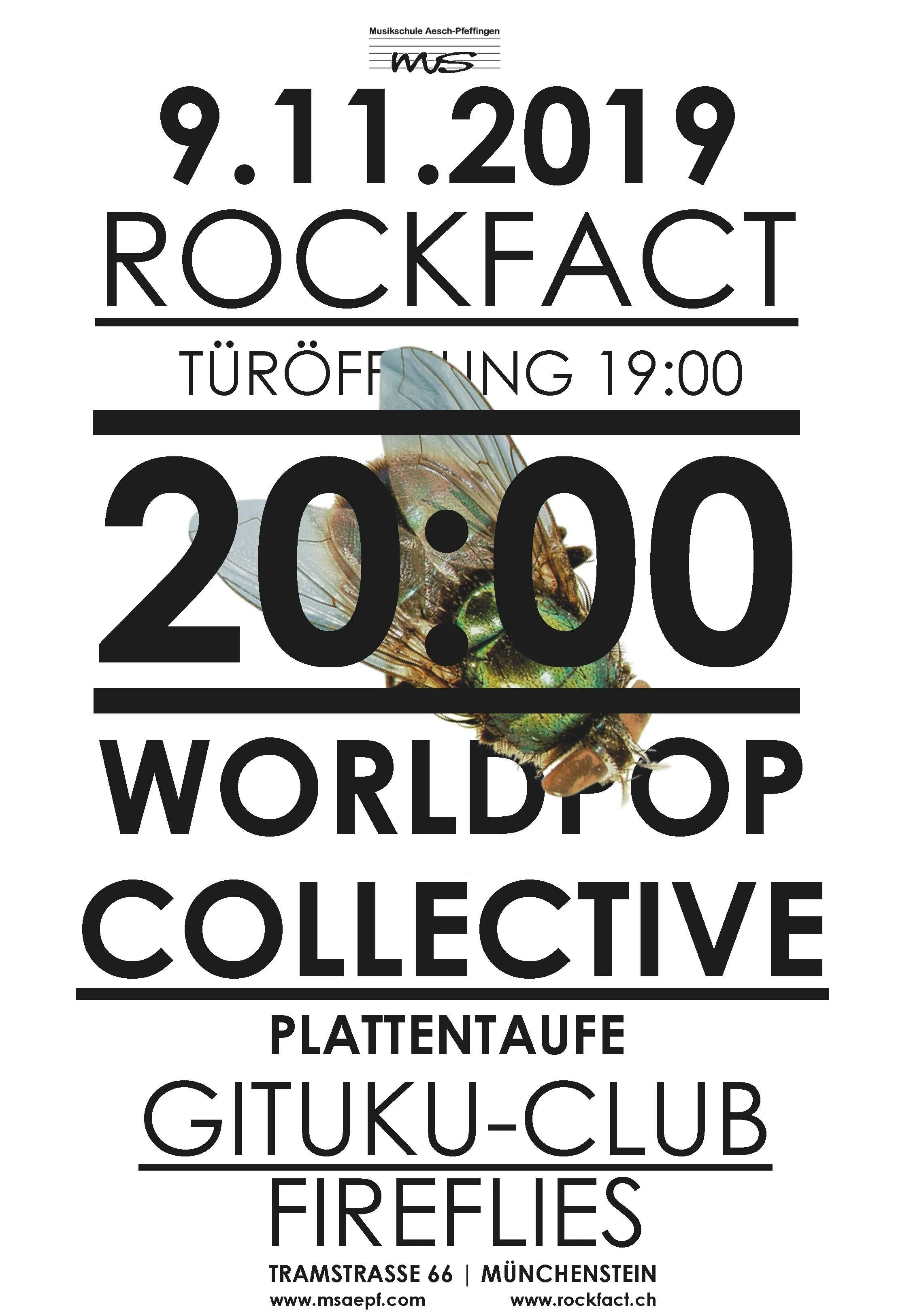 world-pop-collective.jpg