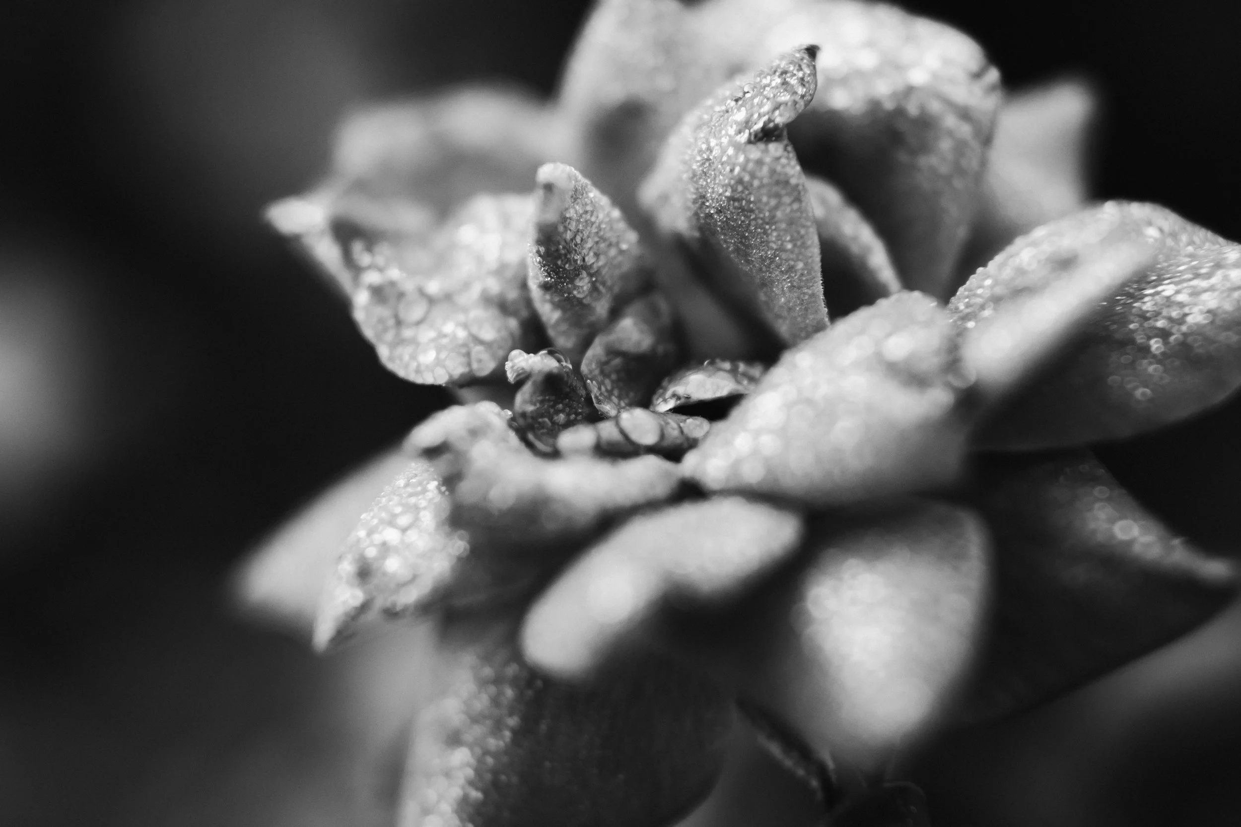 5x7 Fine Art Print Matted in a 12x12 Matte