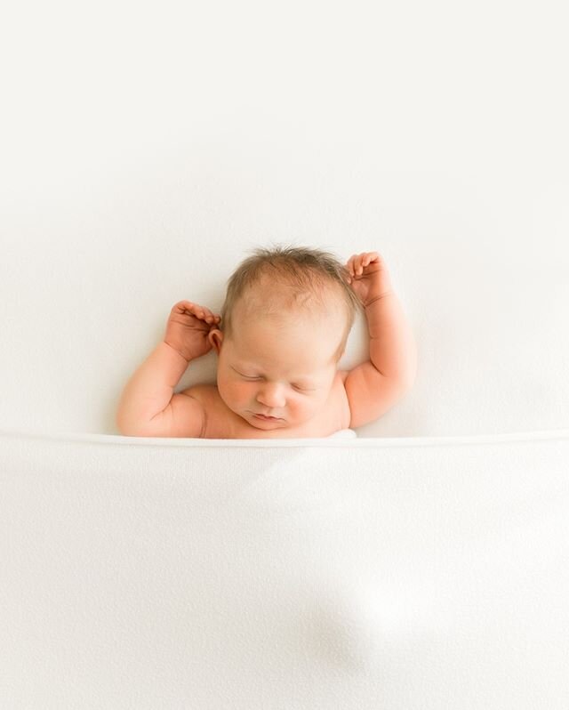 These little arm rolls! Love photographing little chunker babes. #jaimeroglphotography⠀⠀⠀⠀⠀⠀⠀⠀⠀
.⠀⠀⠀⠀⠀⠀⠀⠀⠀
.⠀⠀⠀⠀⠀⠀⠀⠀⠀
.⠀⠀⠀⠀⠀⠀⠀⠀⠀
#ofallonil #ofallonphotography #ofallonphotographer #stlouis #stlouisphotographer #illinoisphotographer #newbornphotograp