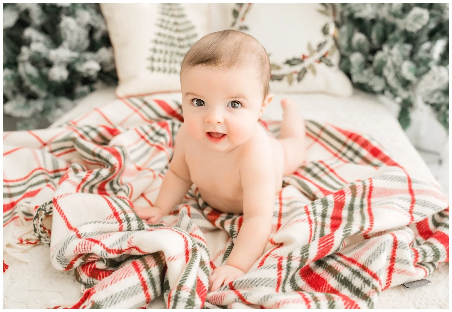 O'FALLON AND ST. LOUIS FAMILY PHOTOGRAPHER | CHRISTMAS HOLIDAY MINI SESSIONS