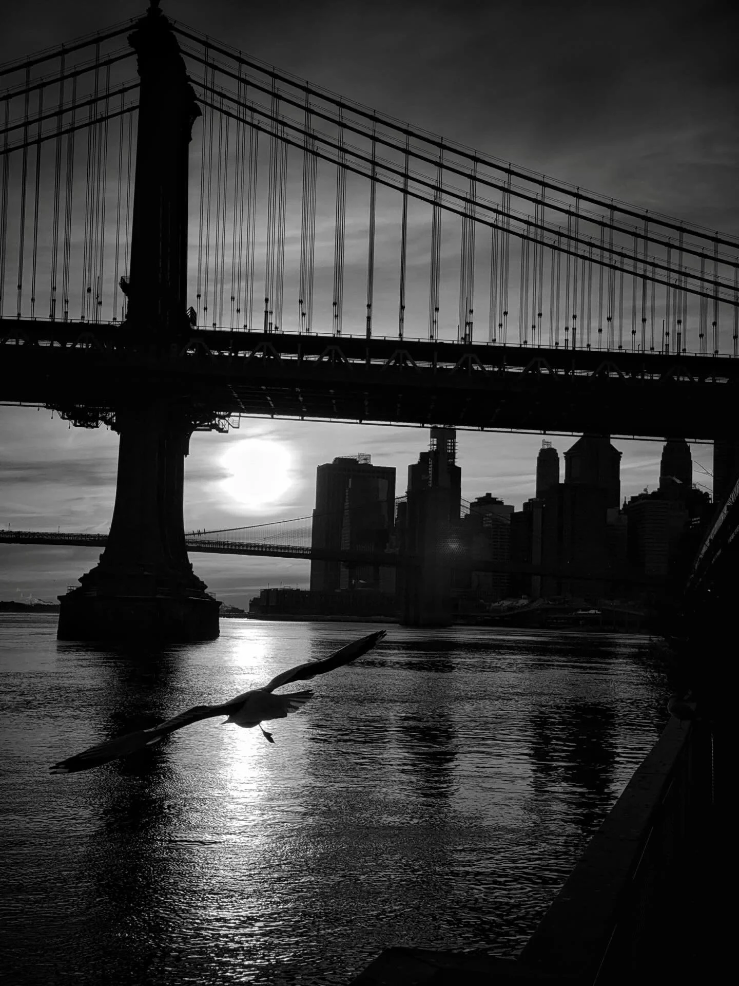02/01/2026 East River, NYC