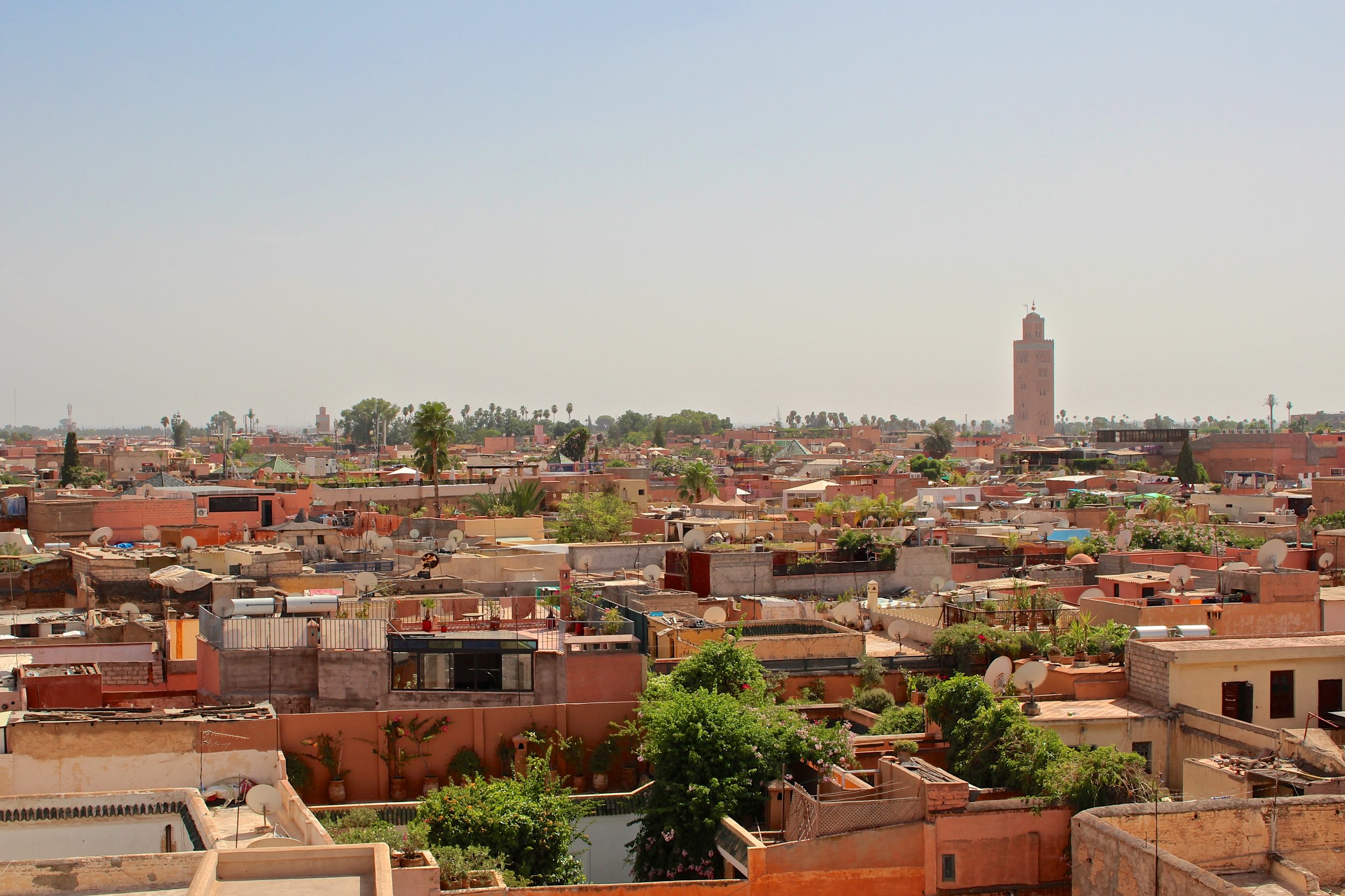 Marocco Pure Wonderment