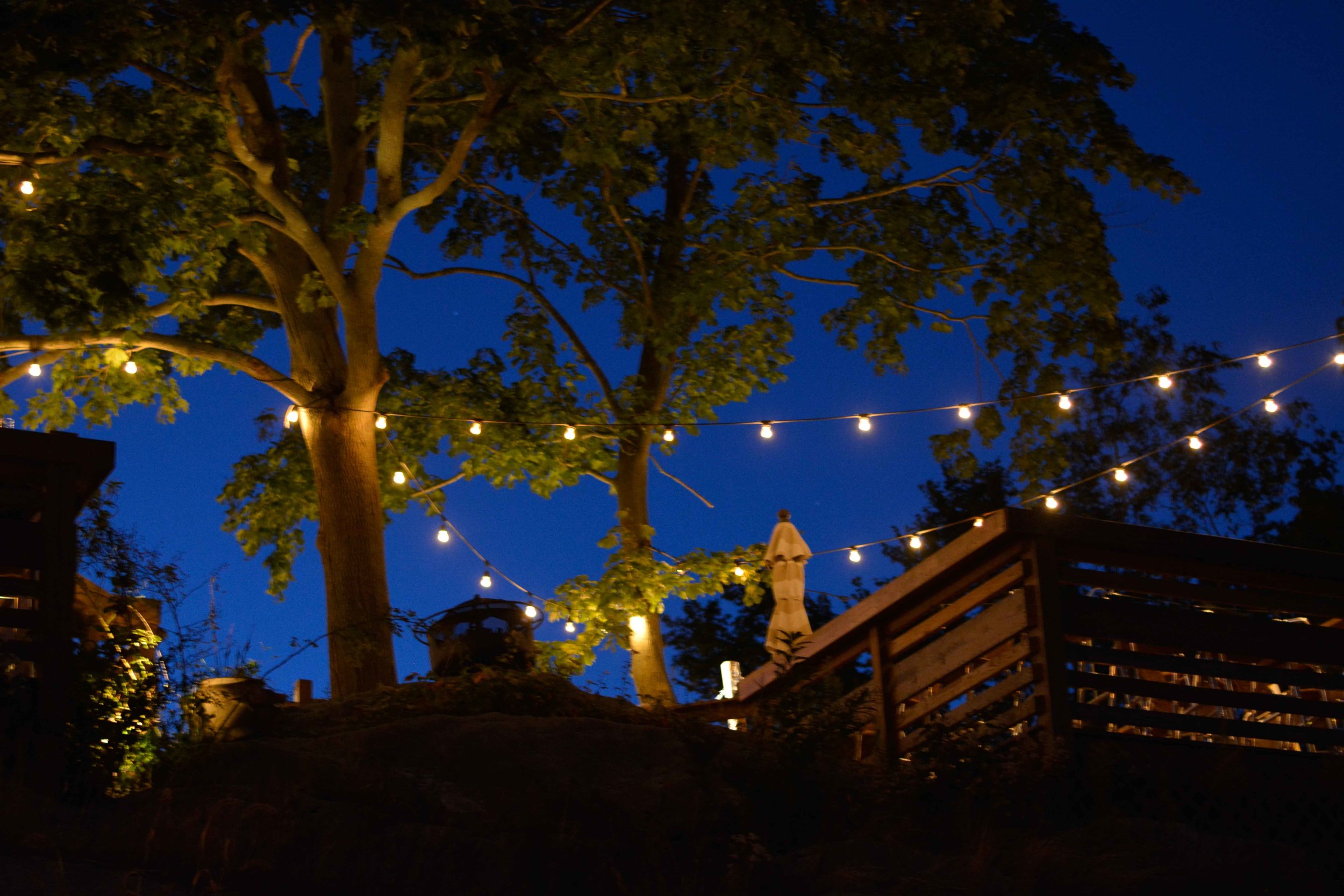 treehouse2.jpg