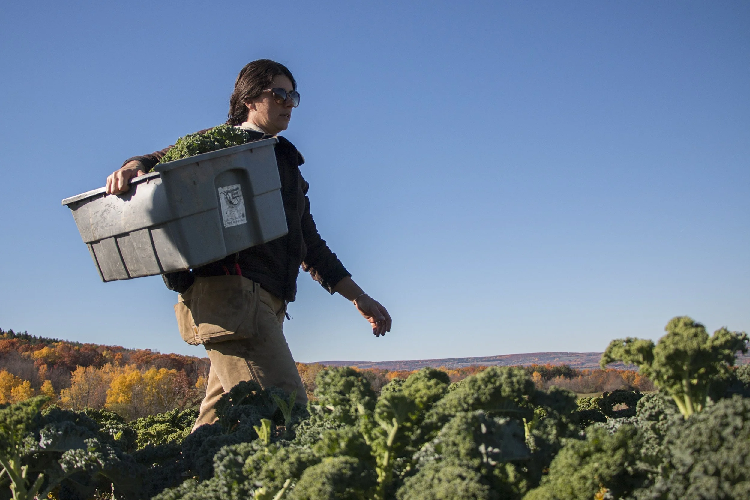 Cusolito became interested in farming when she was a teenager and decided to pursue it as a profession after graduating Ithaca College with Munzer in 2008. “Farming is a labor of love. Being able to see what you planted grow and flourish, there’s nothing else like it,” she said.