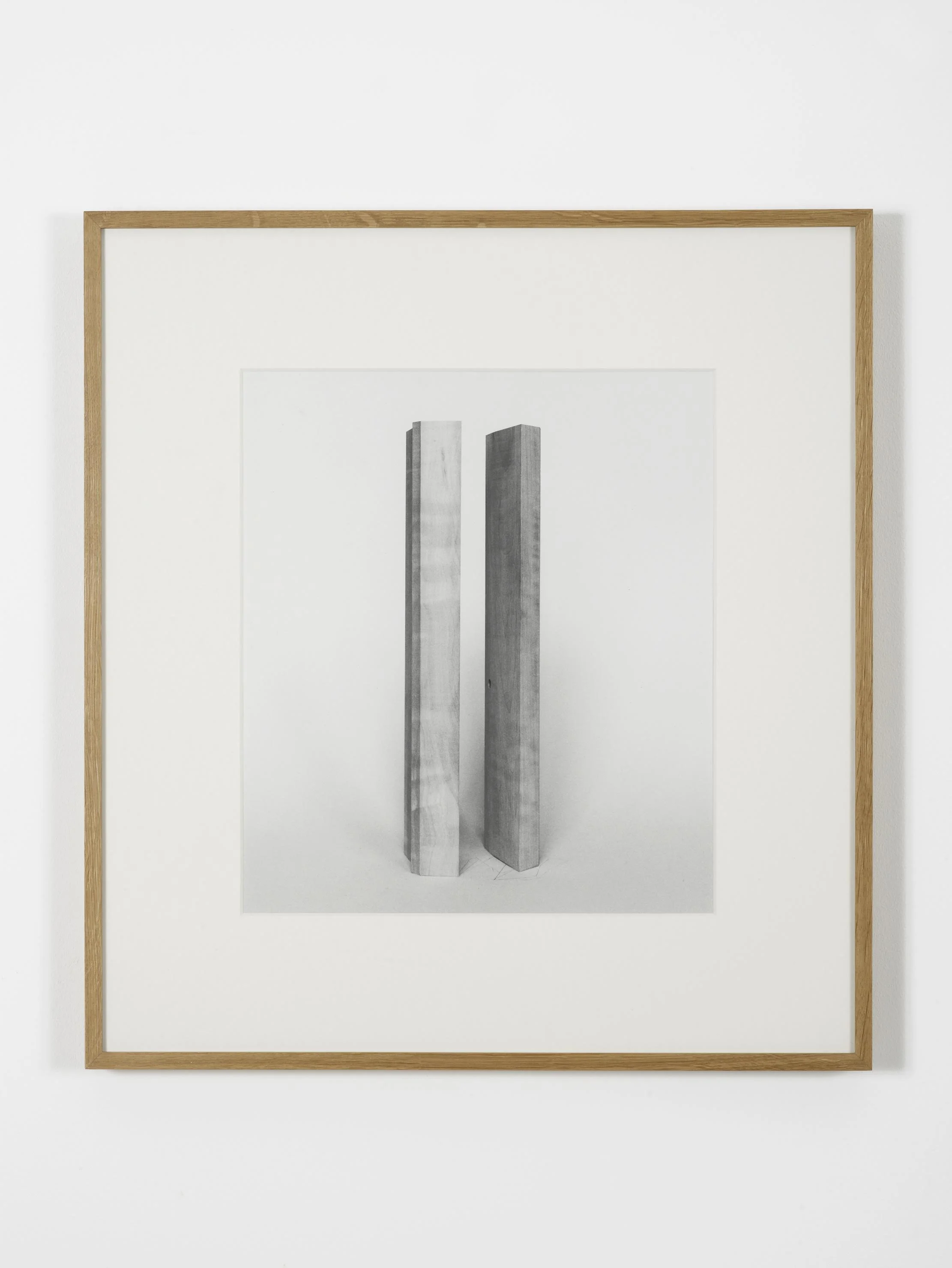 Becky Beasley, Extensions (Elaboration No. 1) , 2012. Gelatin silverprint, 164.5 x 123 cm, framed 175.3 x 134 cm. Courtesy Laura Bartlett Gallery, London.