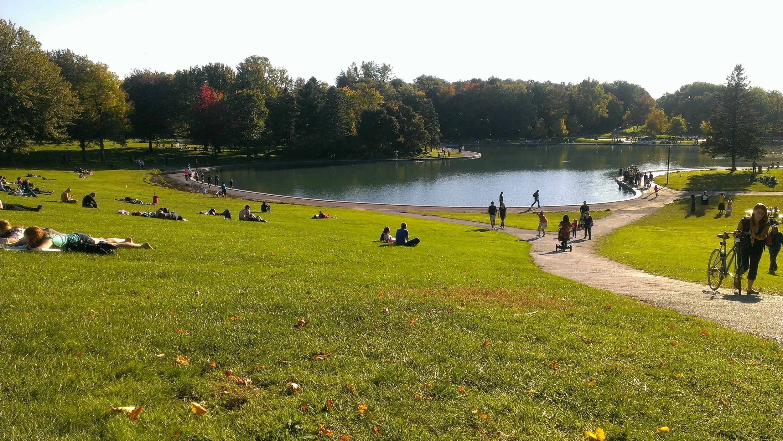montreal-272629.jpg
