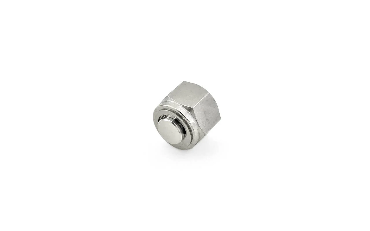 Stainless Steel Plug