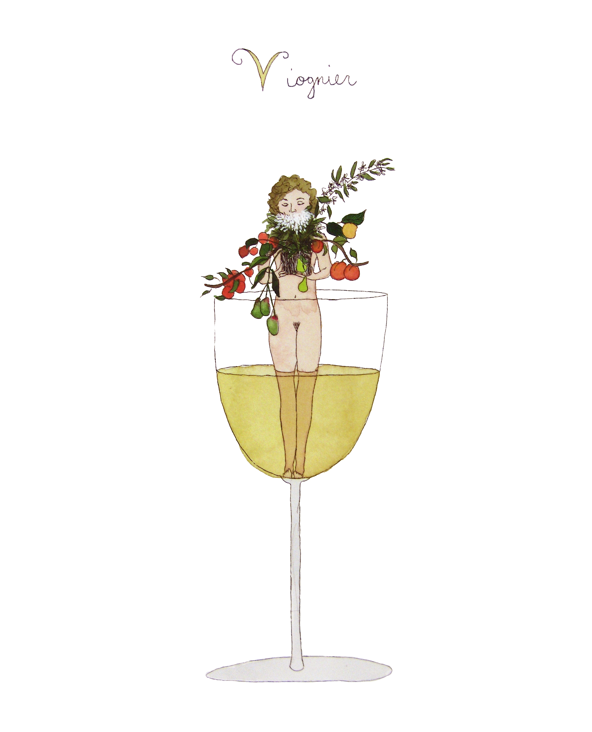 viognier.jpg