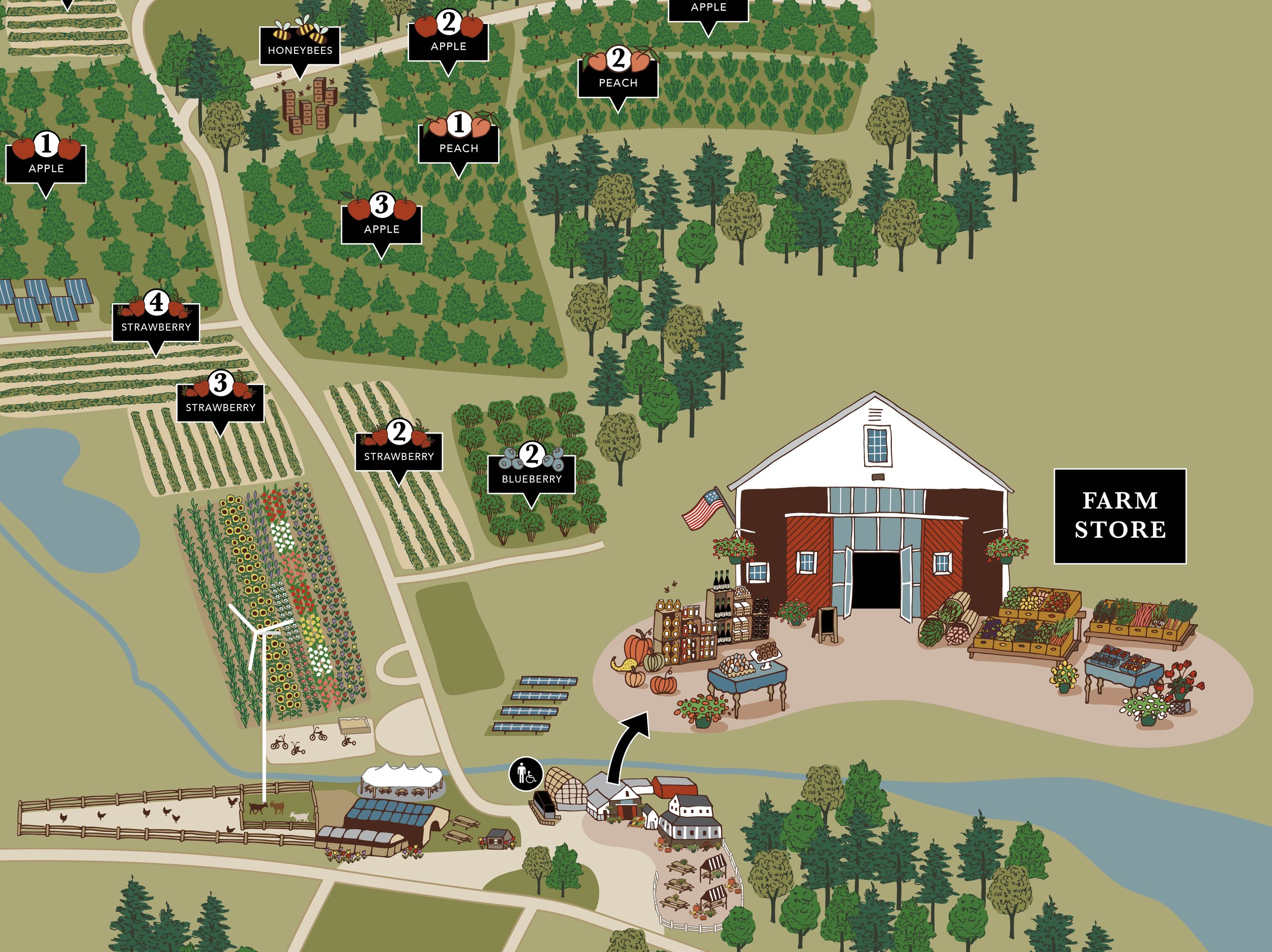 SaraArgue-Cider Hill Farm-Illustrated-Map-close-up.jpg