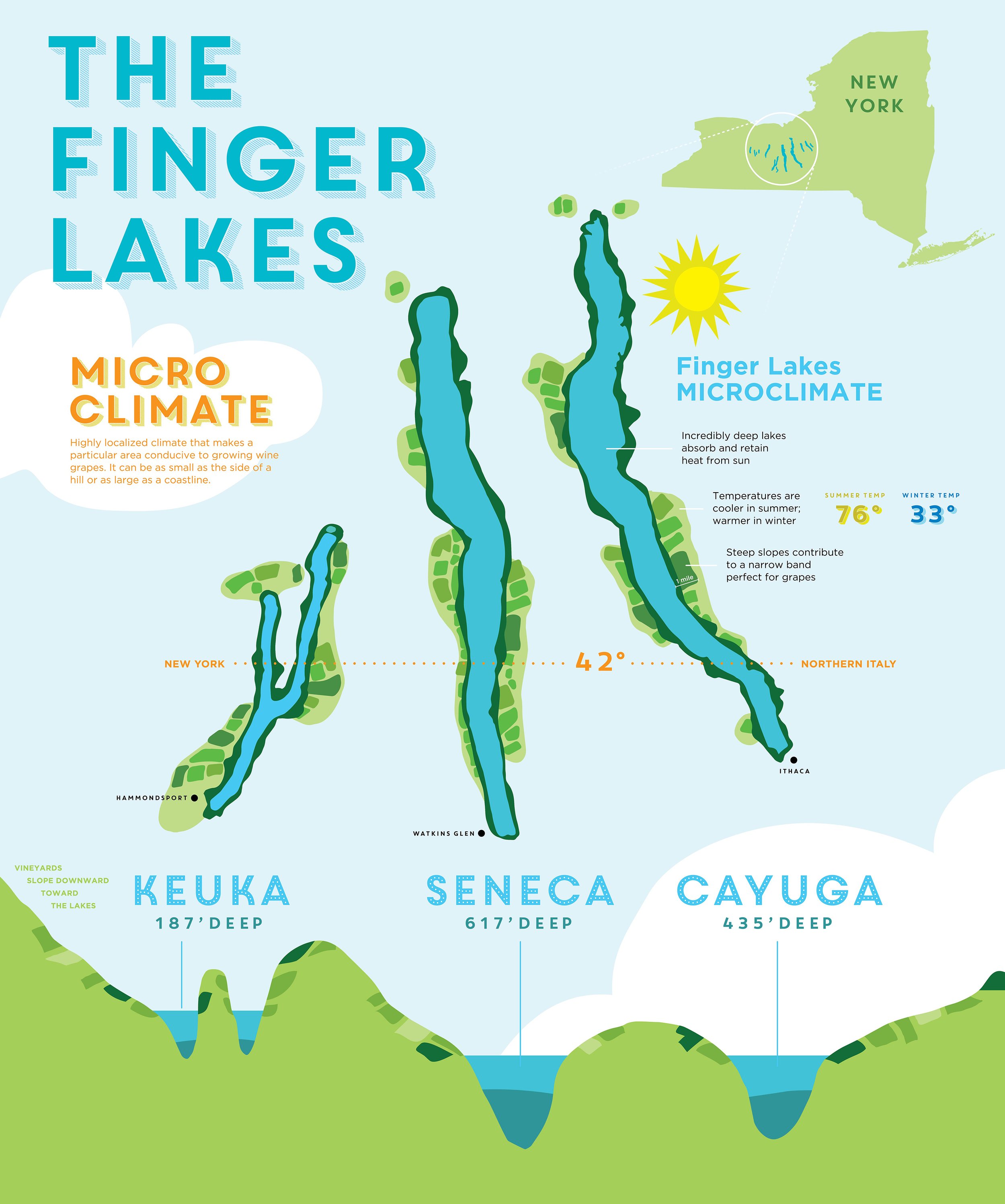 SaraArgue-Finger-Lakes-Wine-Map.jpg