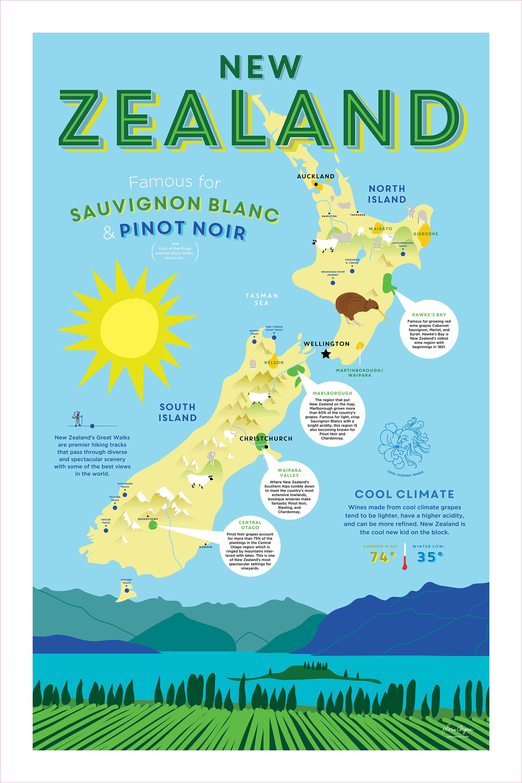 Sara Argue-New Zealand-Wine-Map-Illustration.jpg