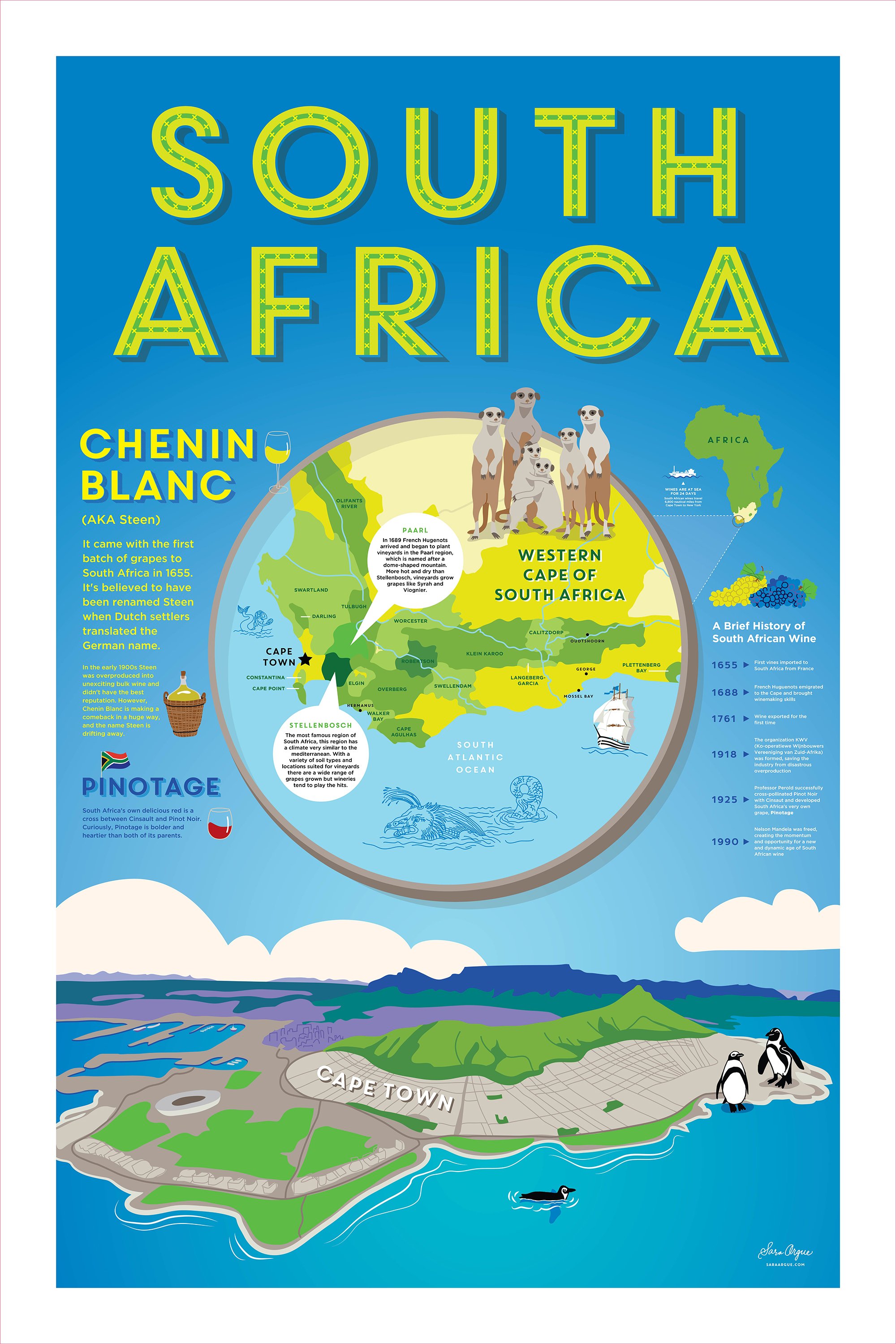 Sara Argue-South Africa-Wine-Map-Illustration.jpg