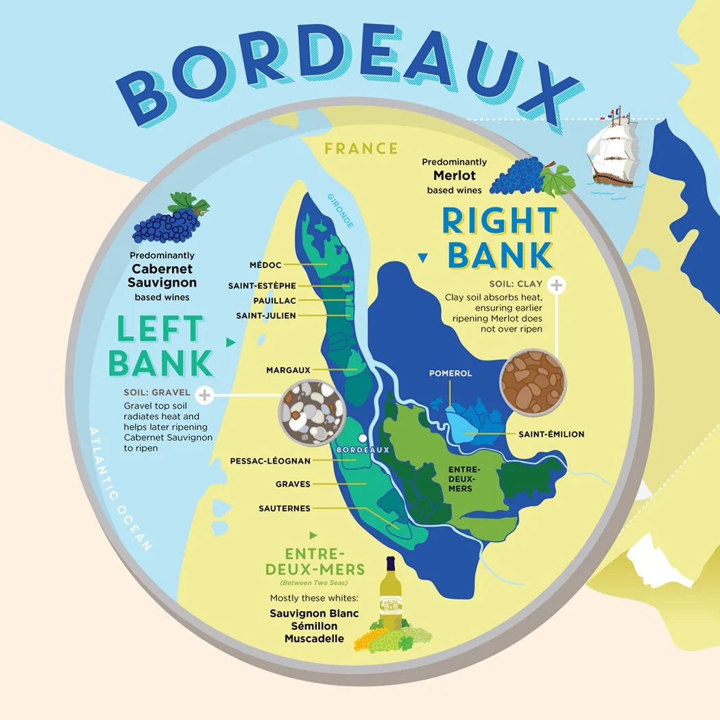 SaraArgue-Infographics-Thumb.jpg