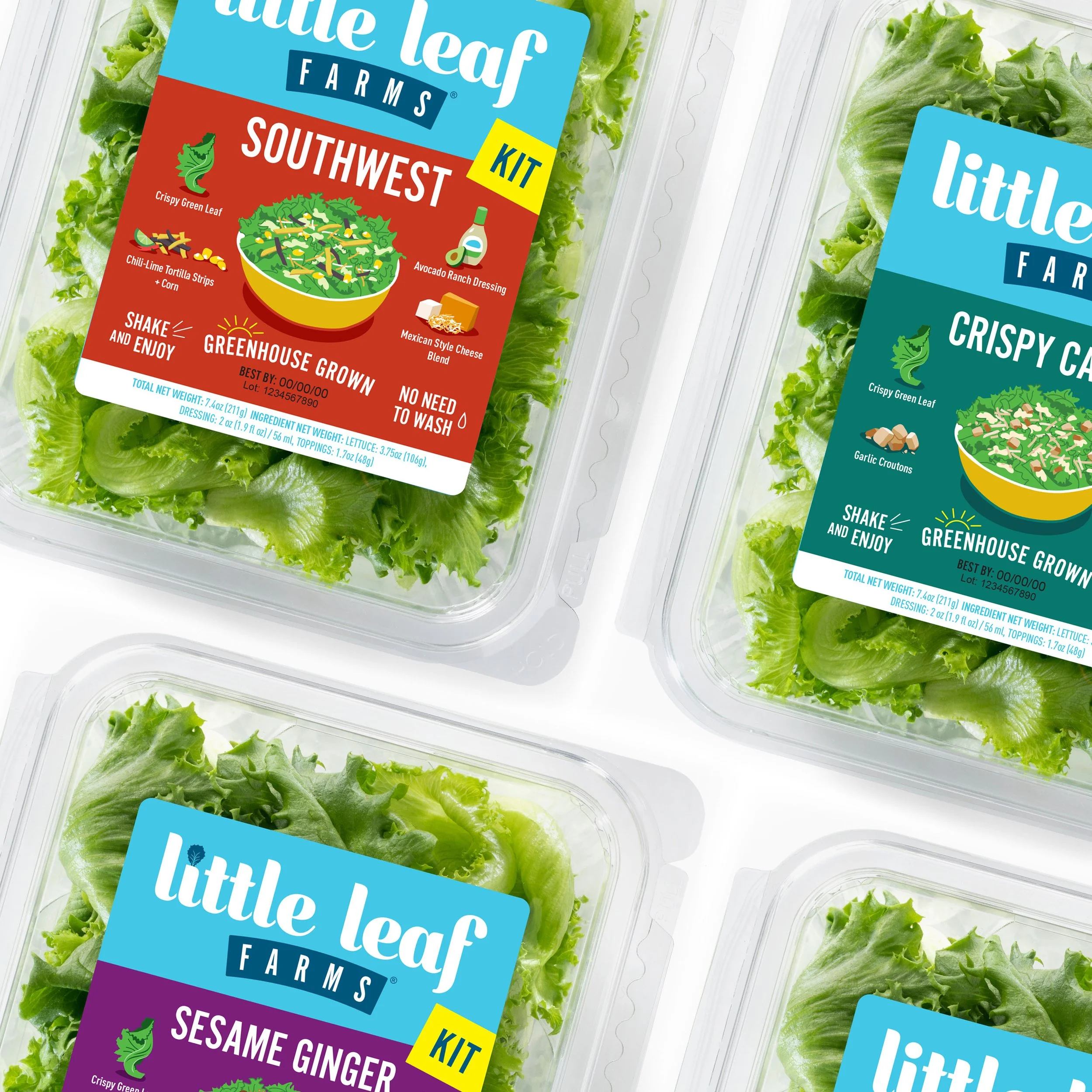 Little Leaf Lettuce - salad kit package design