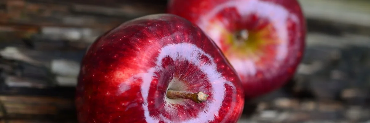 fruit.jpg