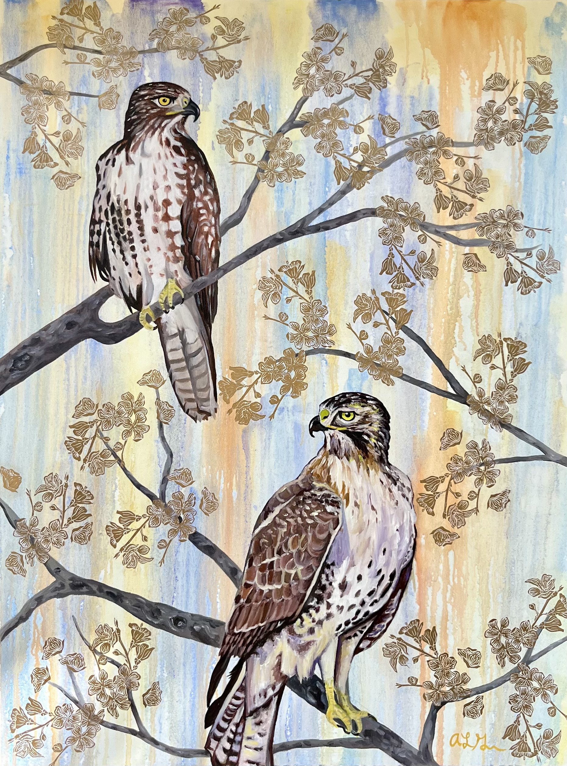 Red-Tailed Hawks