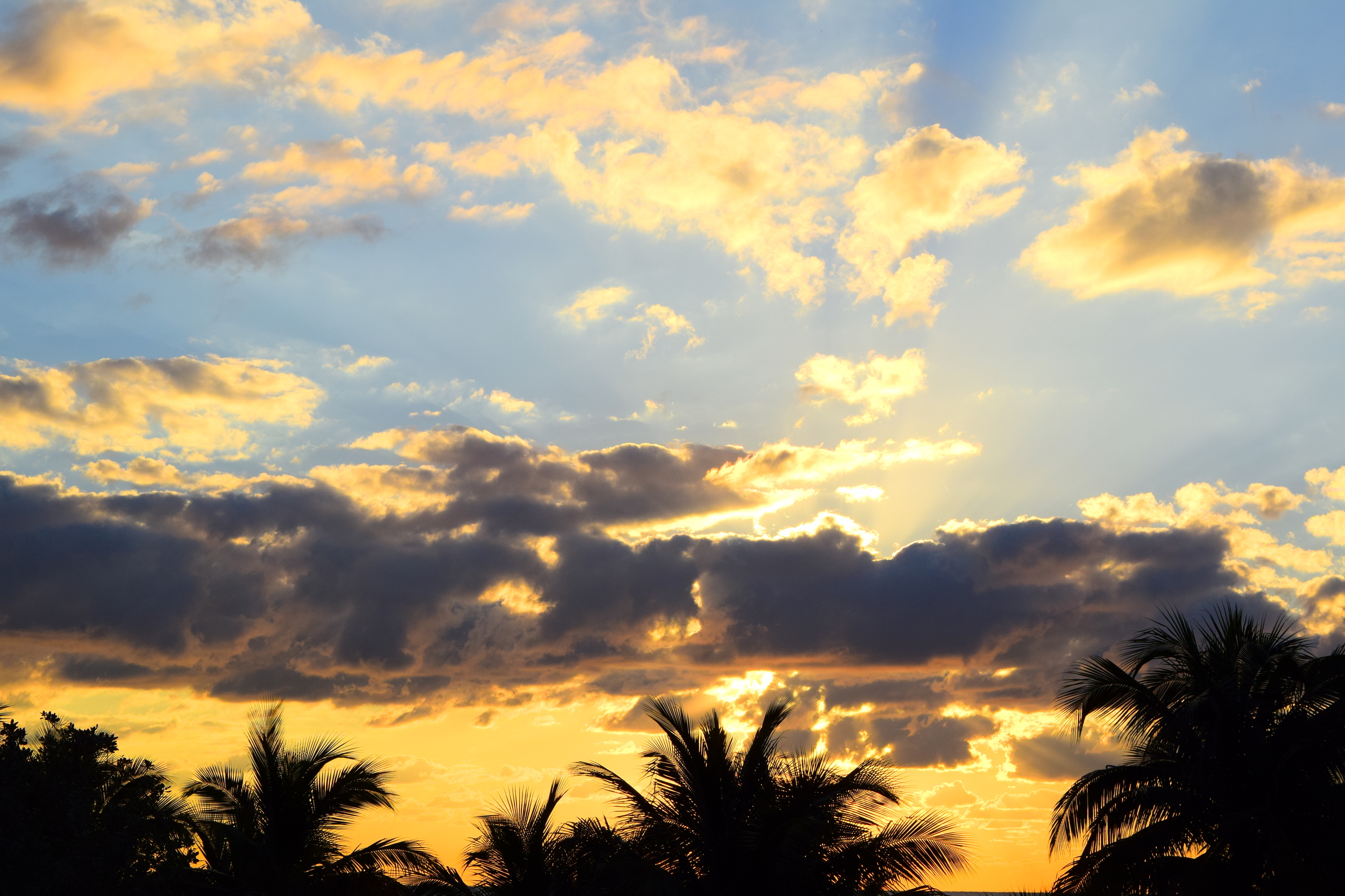  Dance of clouds and palms with morning sun over Miami Beach. 
