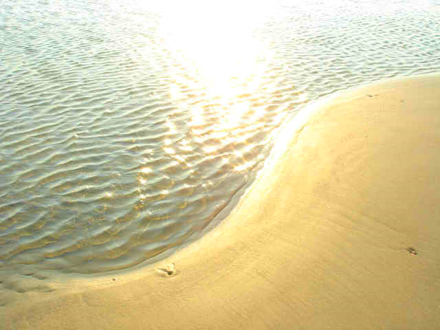 beach%20swirl.jpg