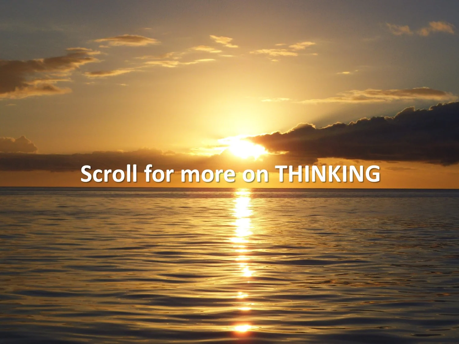 D thinking scroll.jpg