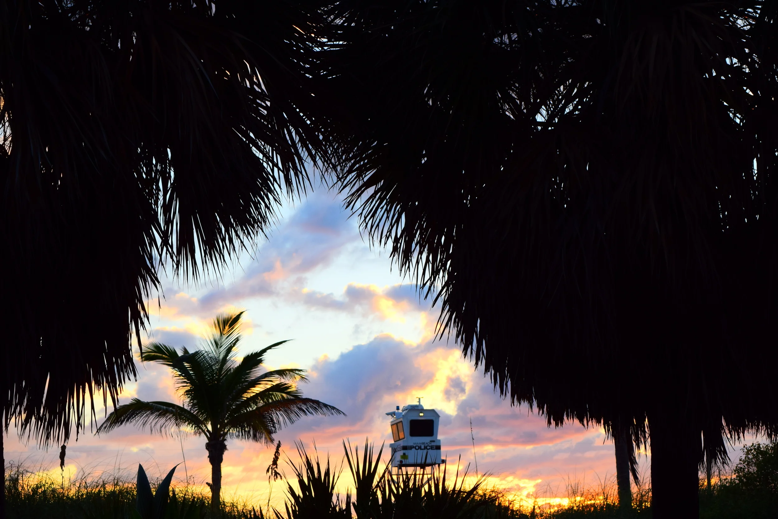  Miami Beach peek-a-boo. 