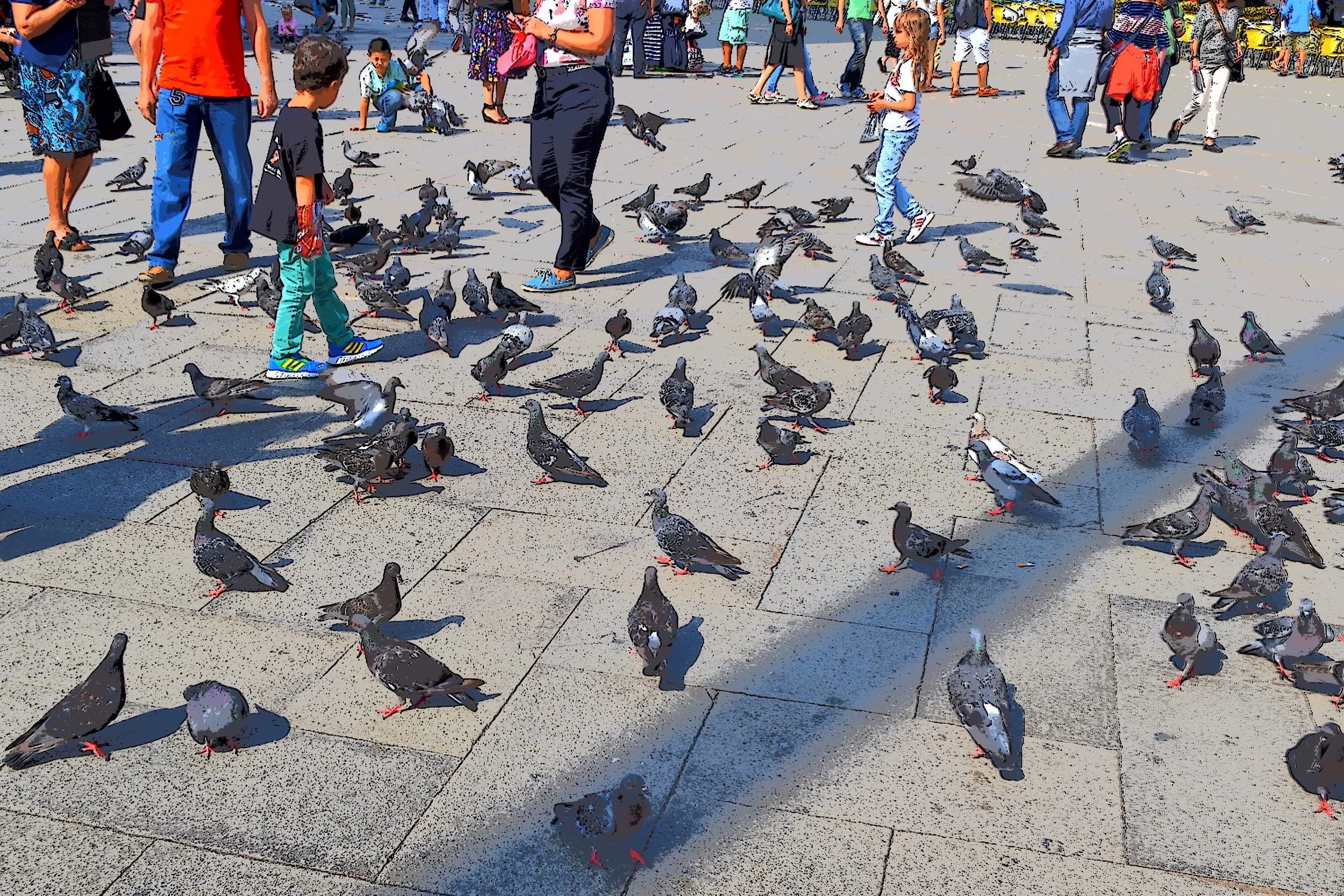  The St. Marco square home of pigeons.  