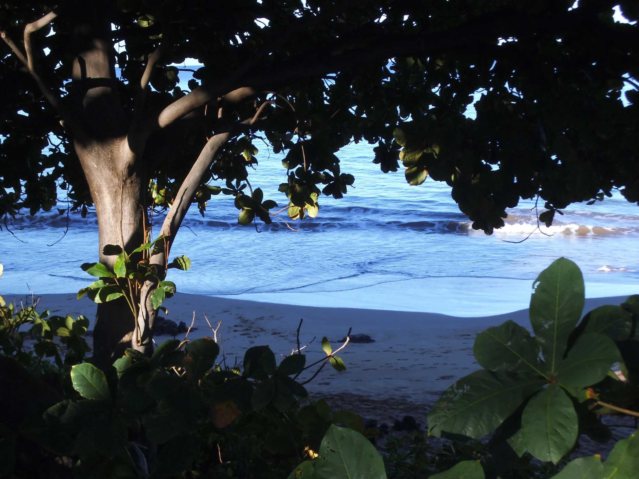  Picture frame of the Pacific in Maui. 
