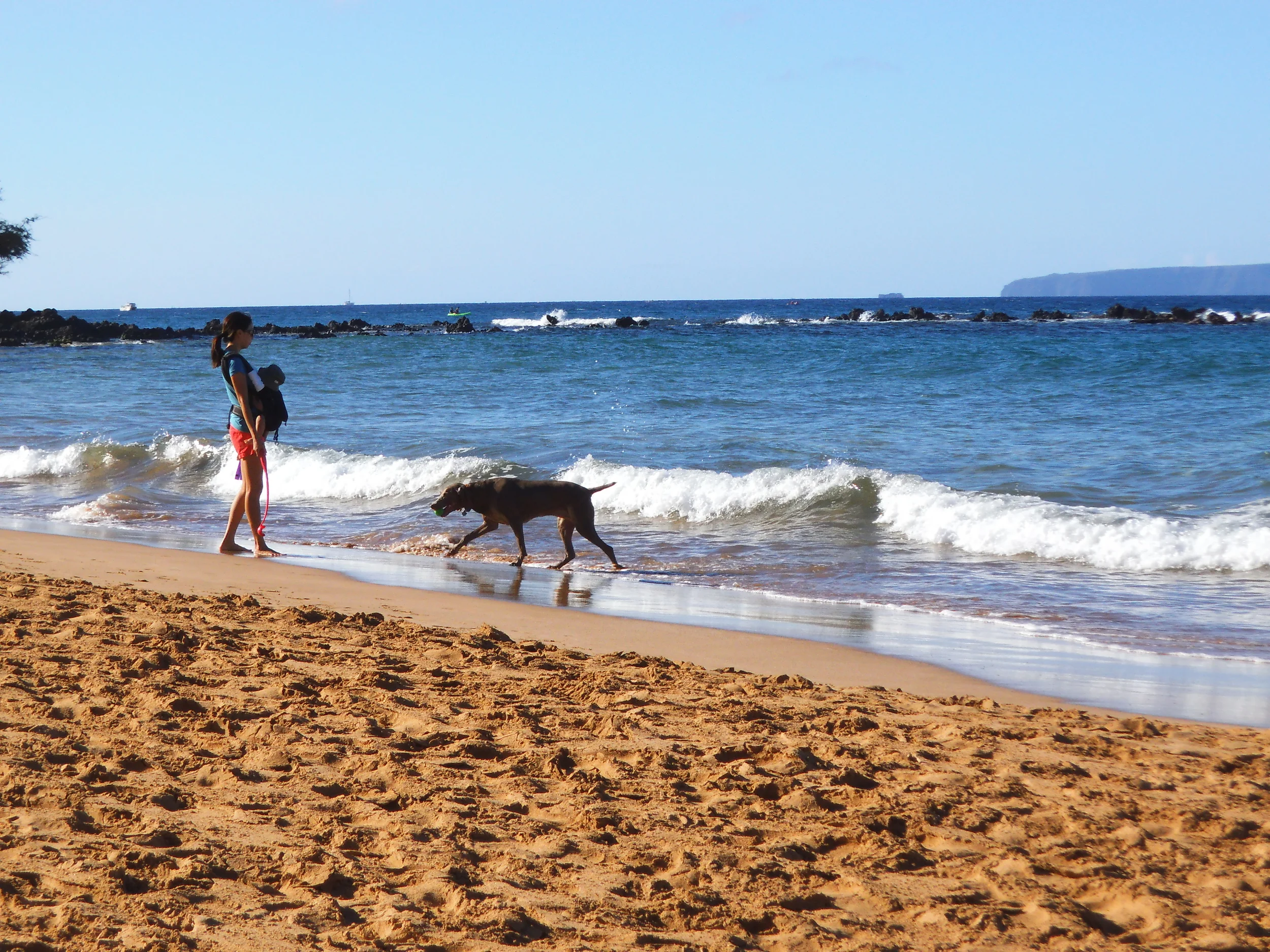  Mother, child, and family dog on Maui beach. 