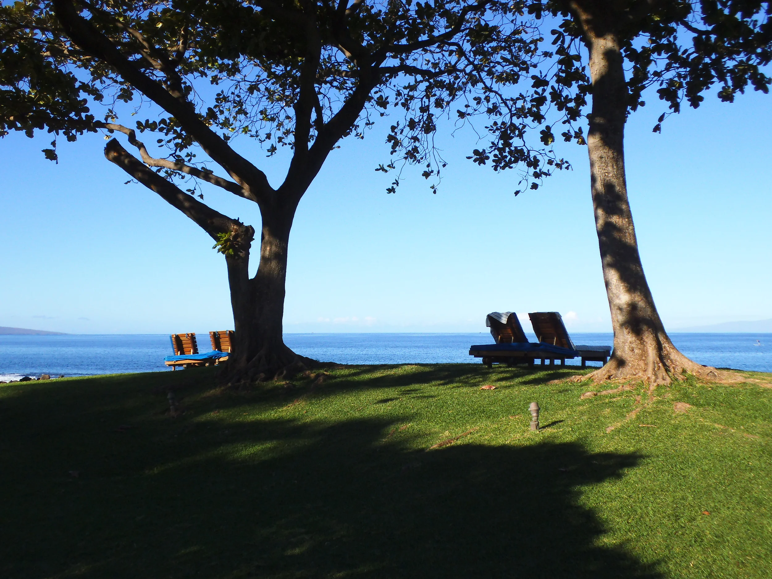  Maui beachside. 