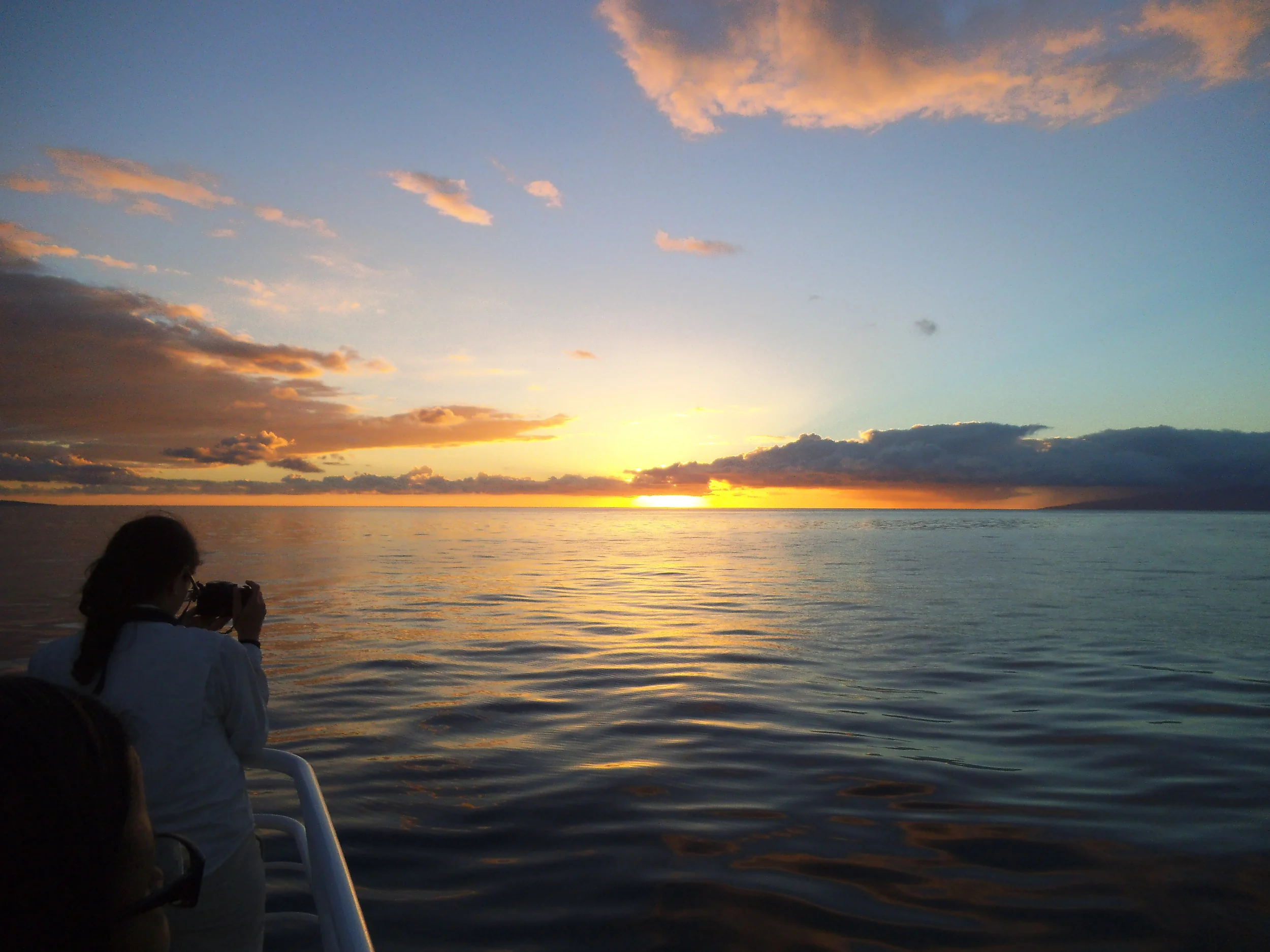  Looking for whales in Maui. 