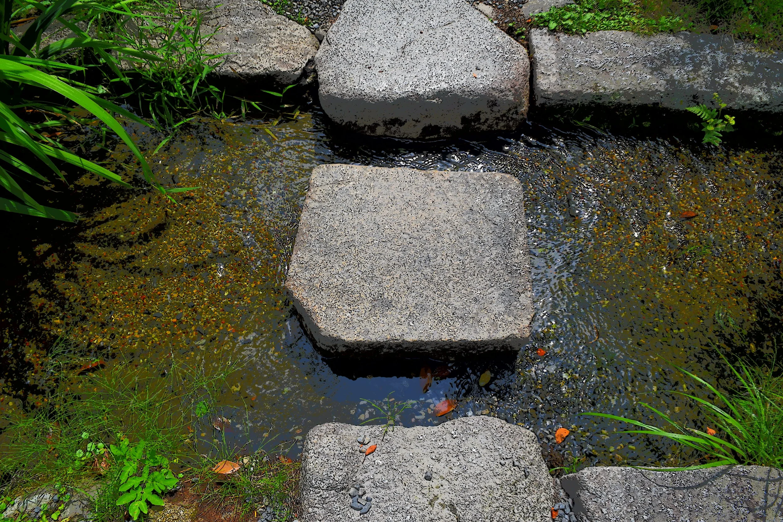  Kyoto garden park, stone walkway. 