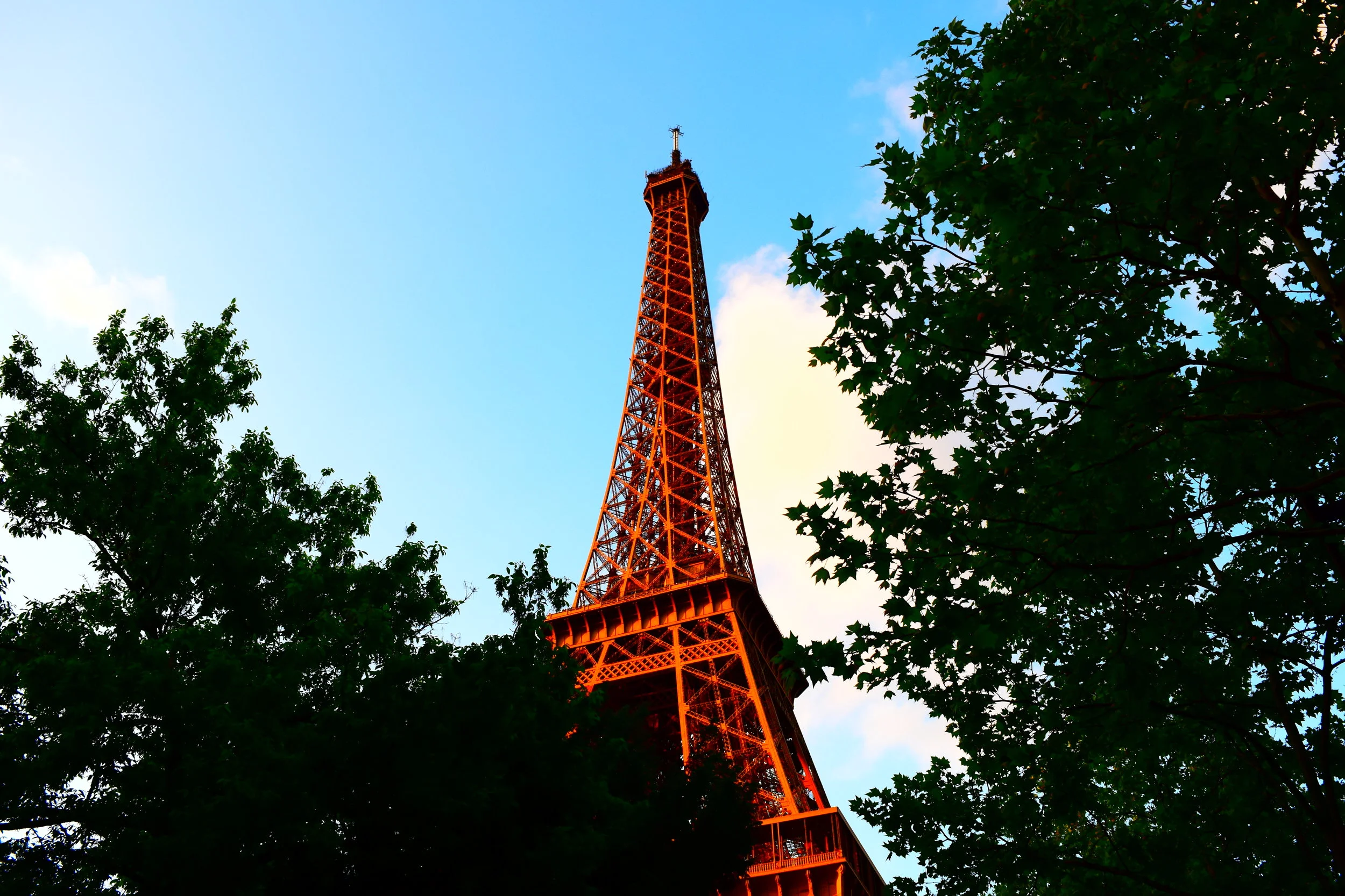  The Eifel blushing with the later afternoon sun. 