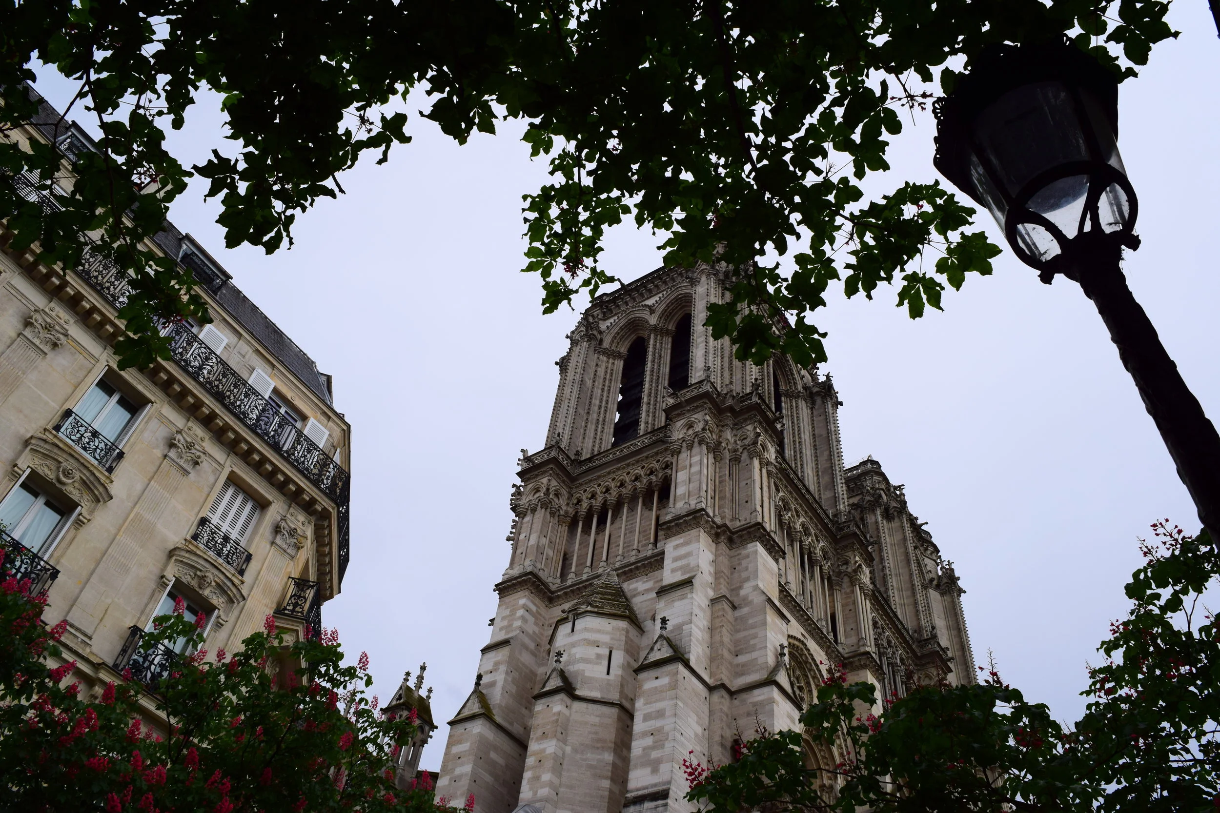  The last standing towers of Notre Dame Cathedral. 