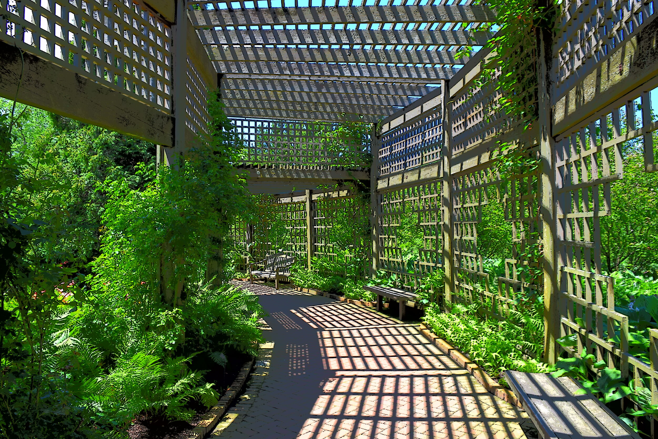  Beautiful Chicago Botanical Gardens. 