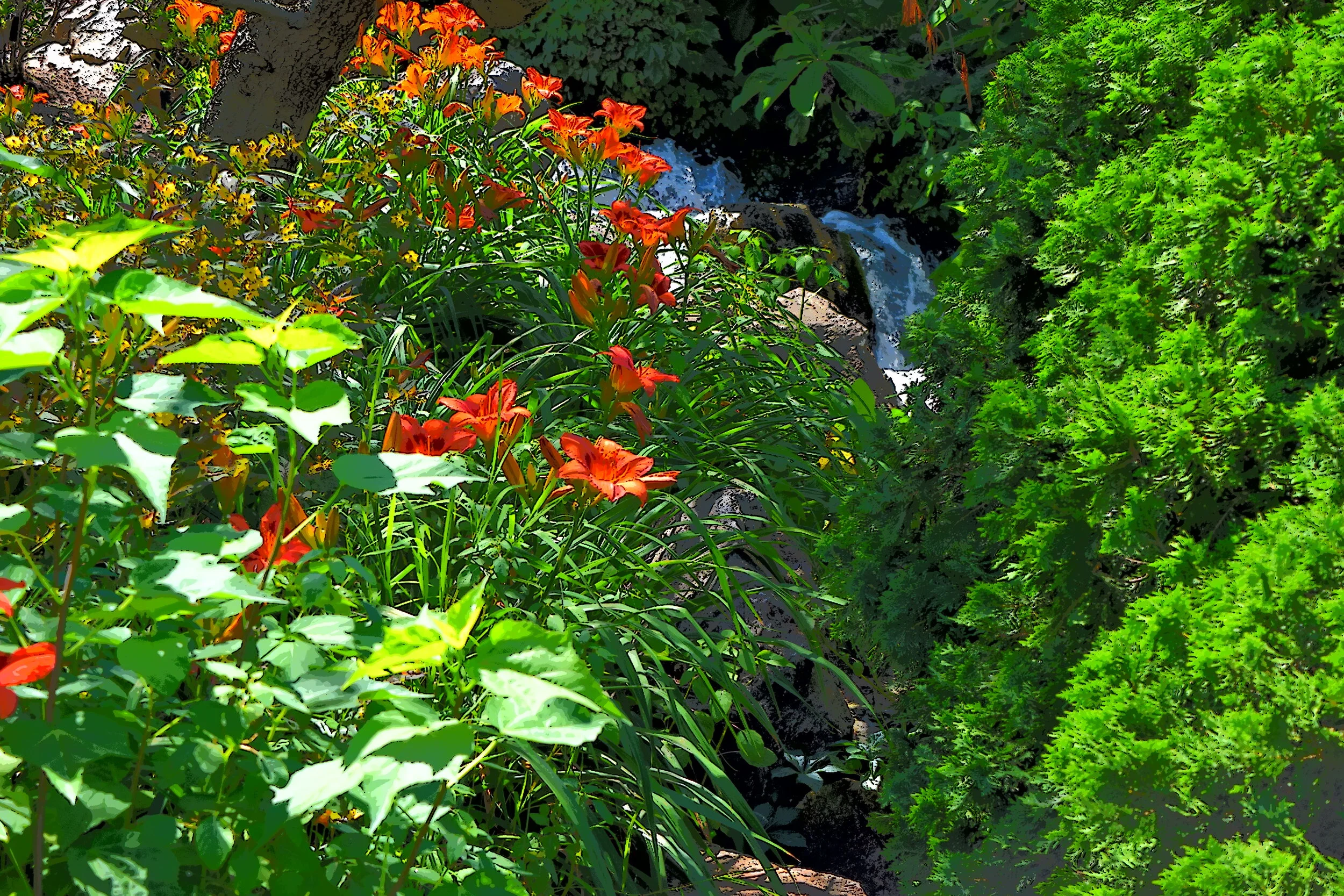  Scene in Chicago Botanical Gardens. 