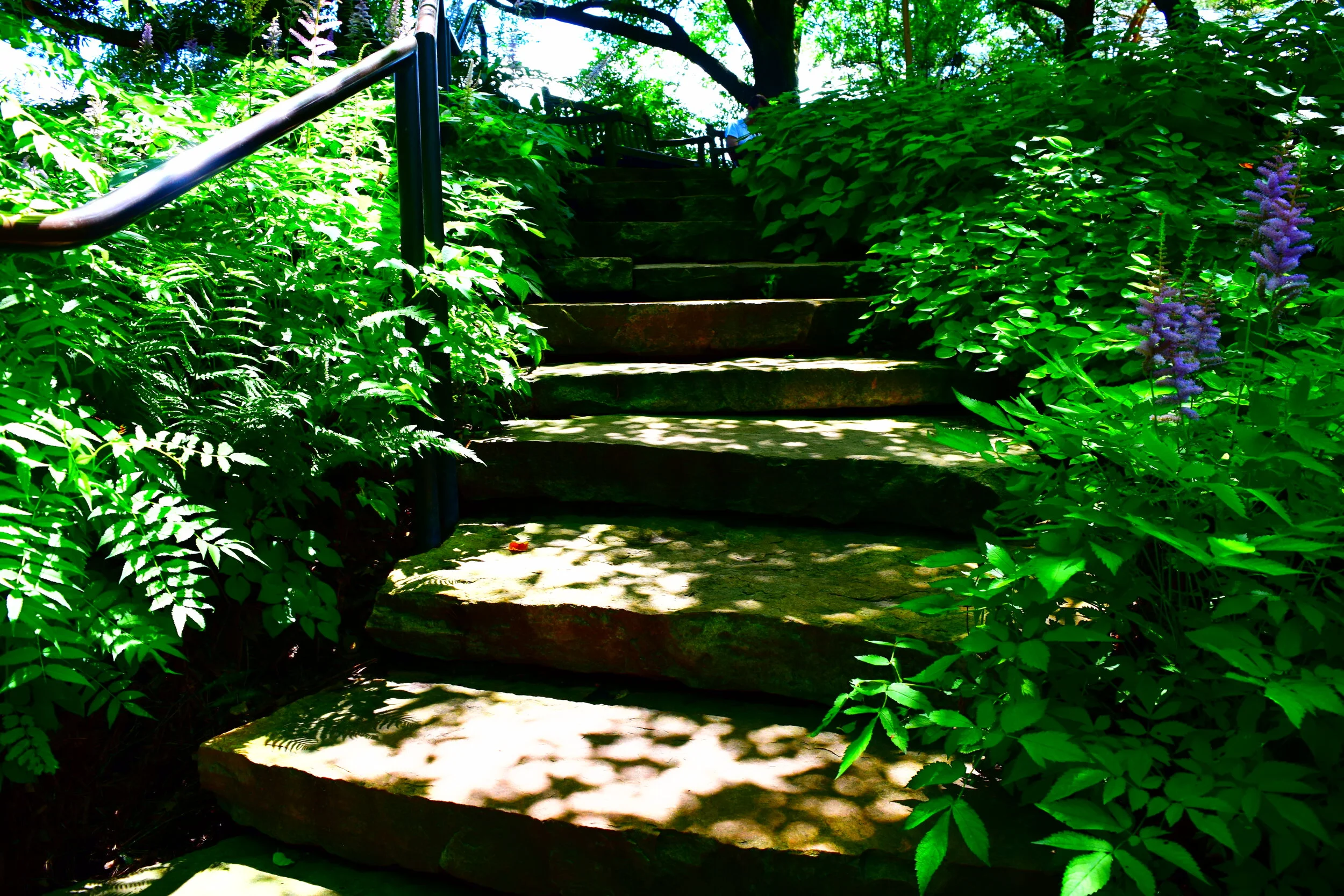  Chicago Botanical Gardens 