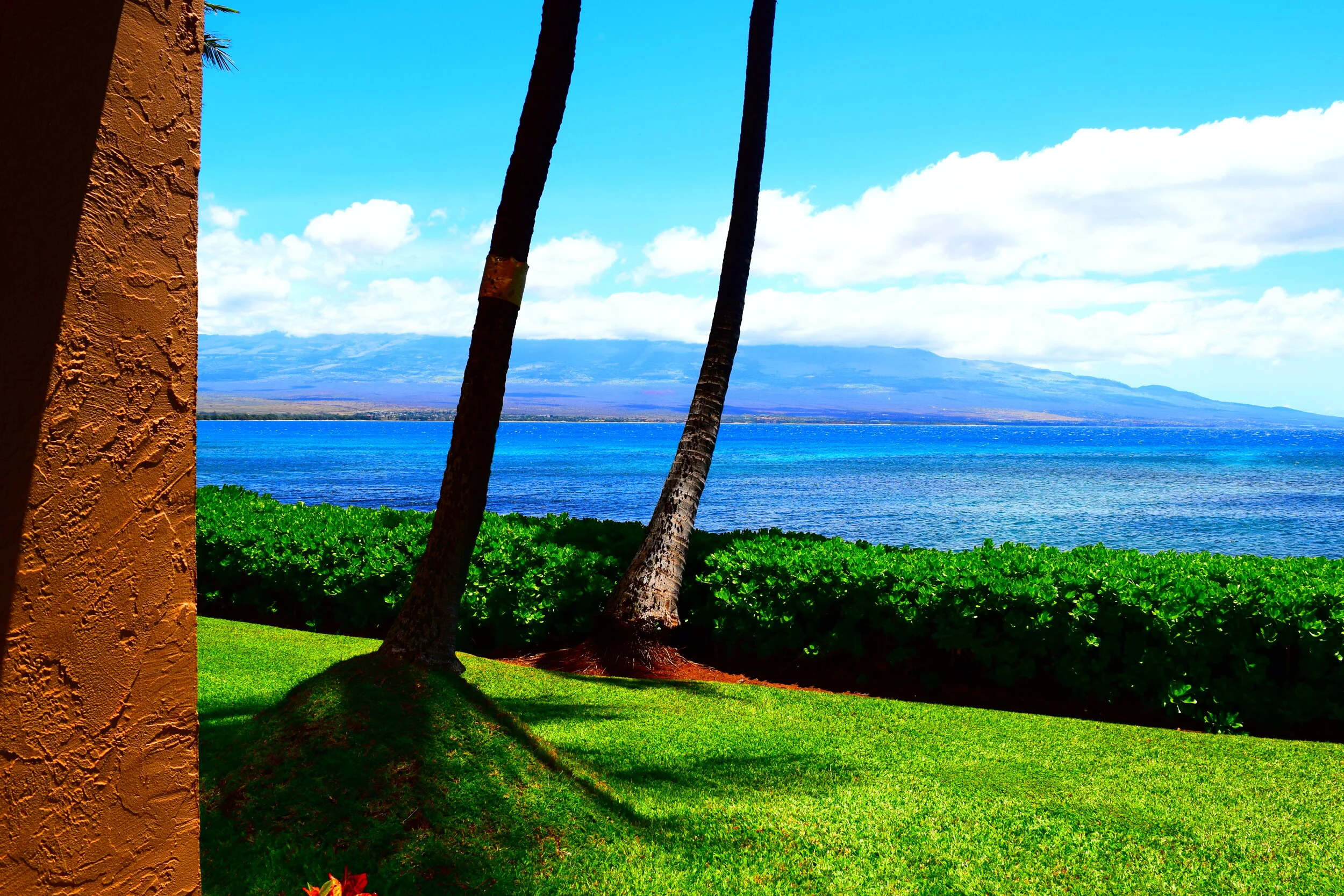  Peaceful breakfast scene in Maui. 