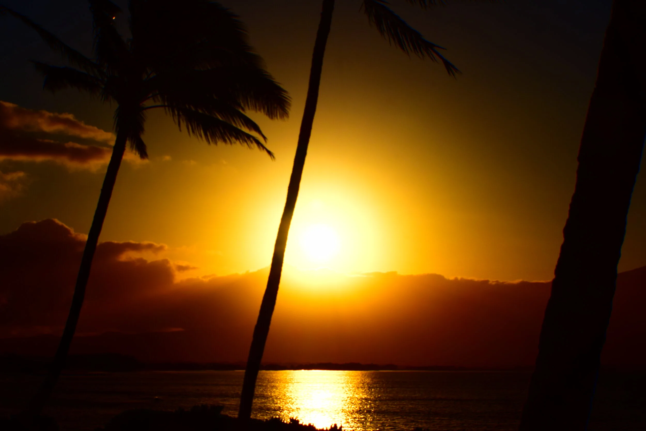  Glorious sunset in Maui. 