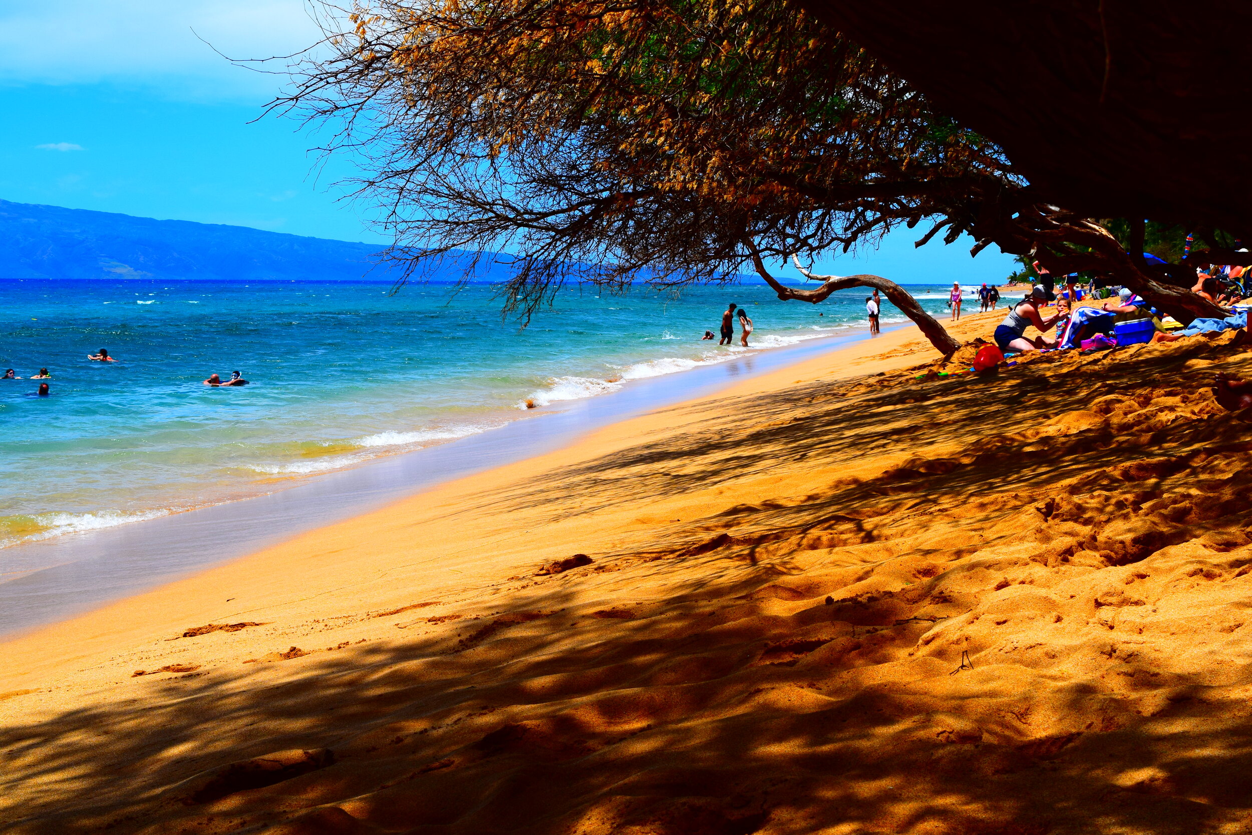  Maui beach portrait. 