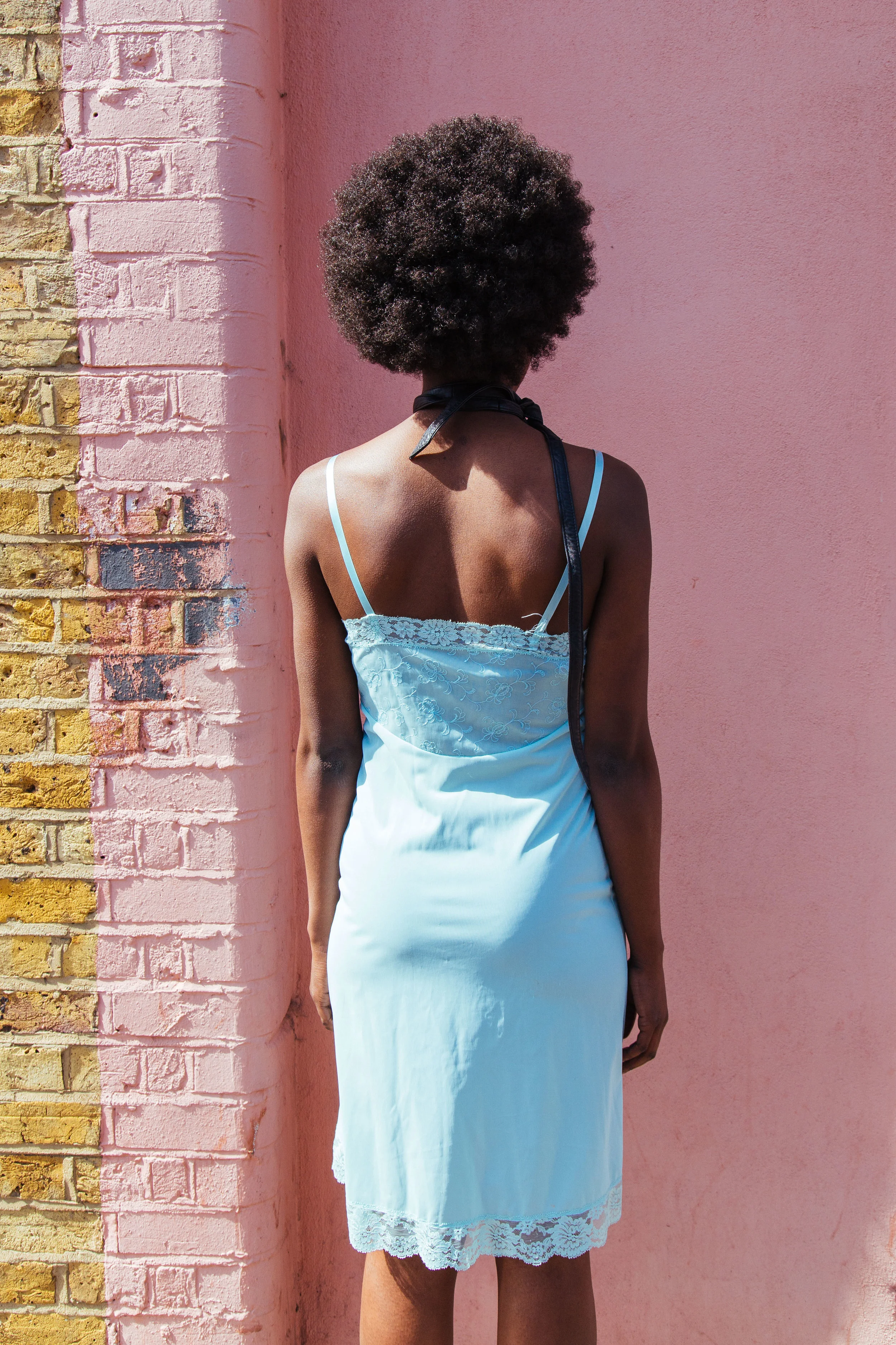Pink wall-249.jpg