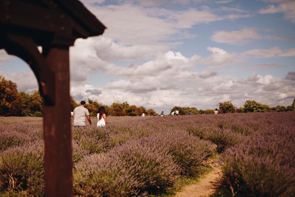 Mayfield_Lavender-70.jpg